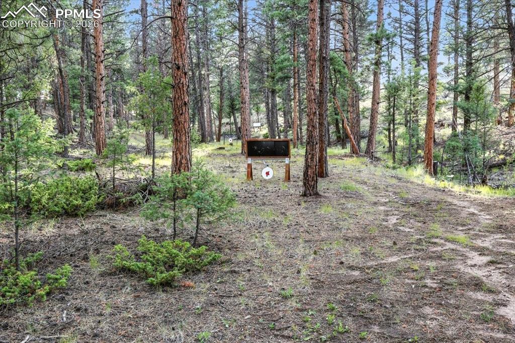 1721 Wildhorn Road Florissant, CO 80816 - Photo 46 of 48
