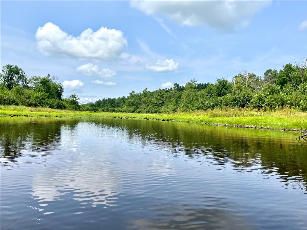 20-acres Town Line Road Ojibwa, WI 54862 - Photo 1 of 1 Gallery Image 1