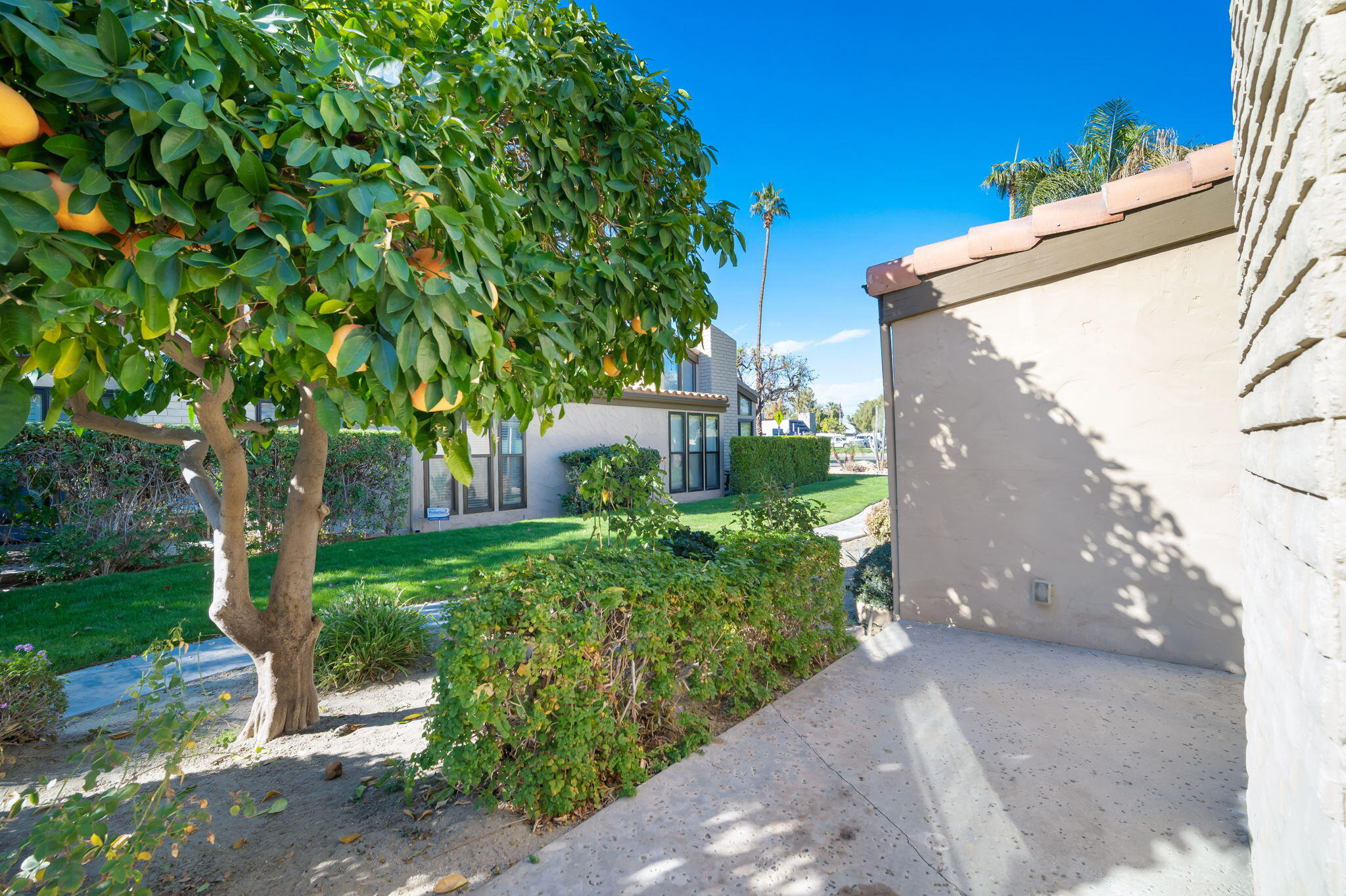 1783 Ramon Road, Unit 2 Palm Springs, CA 92264 - Photo 18 of 18 a view of a back yard