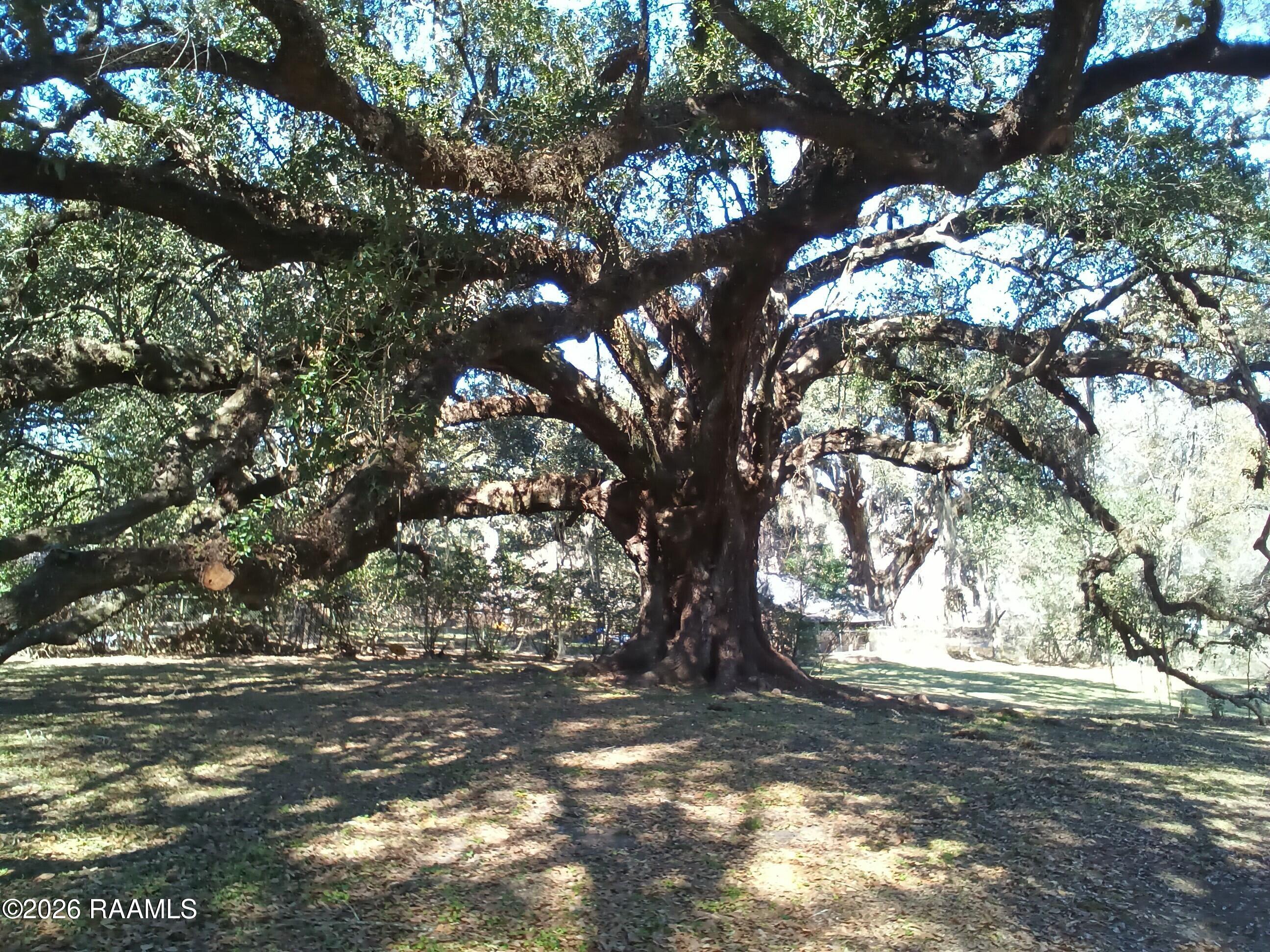 905 Loreauville Road New Iberia, LA 70563 - Photo 39 of 49 IMG_20260202_113322_3