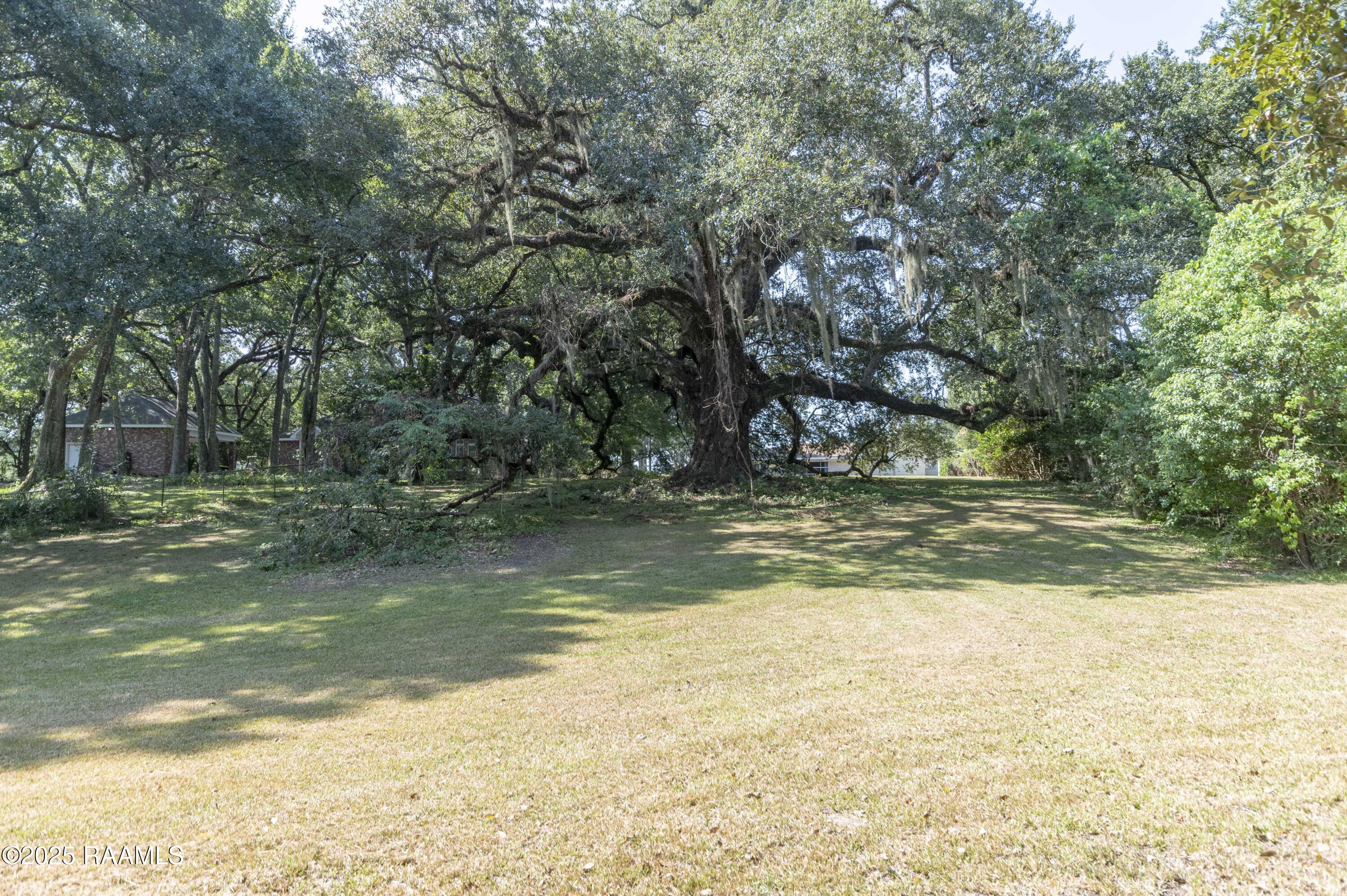 905 Loreauville Road New Iberia, LA 70563 - Photo 40 of 49 Back Yard 1