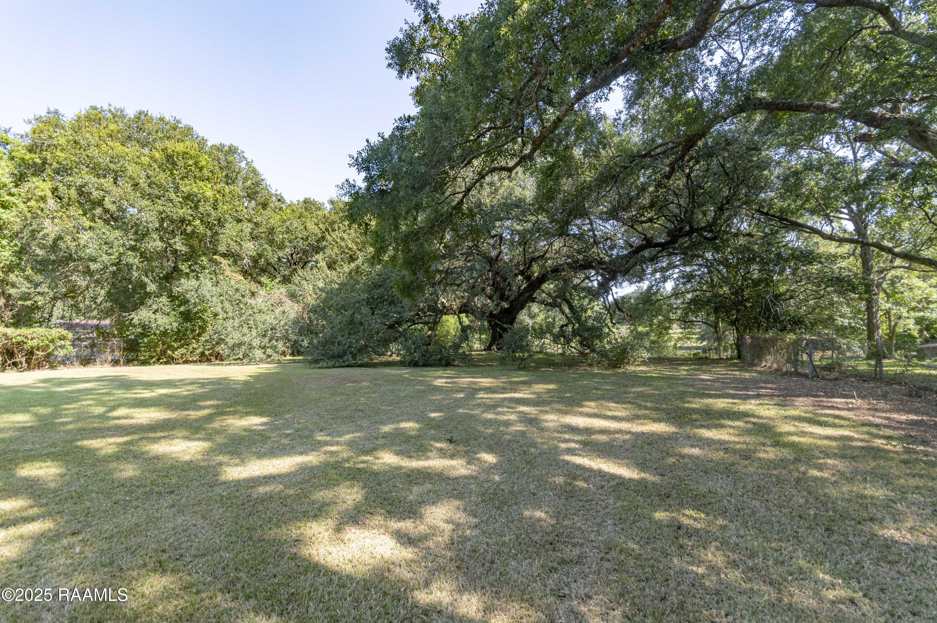 905 Loreauville Road New Iberia, LA 70563 - Photo 41 of 49 Back Yard 3