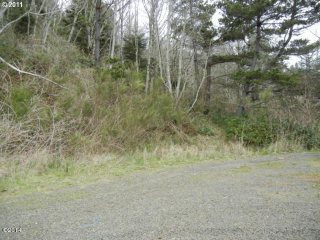210 Cedar Street Wheeler, OR 97147 - Photo 1 of 4 Lot from cul-de-sac