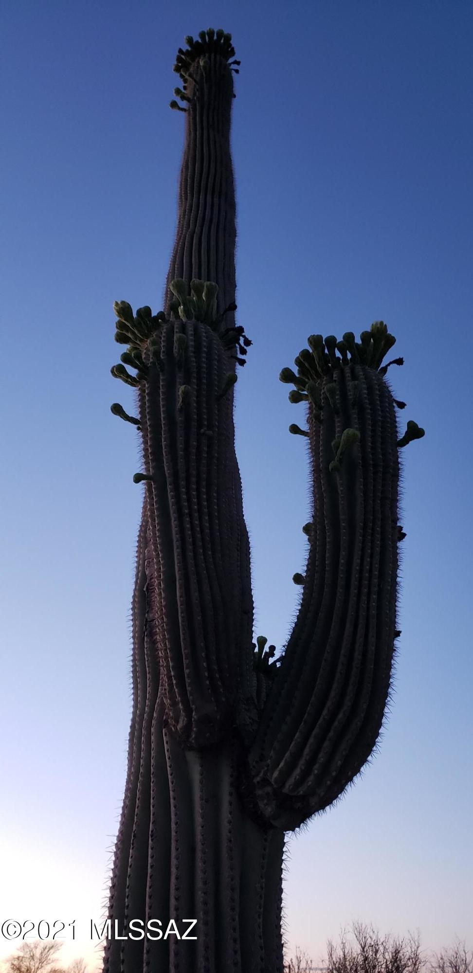 0 South Galena Road Marana, AZ 85658 - Photo 7 of 7