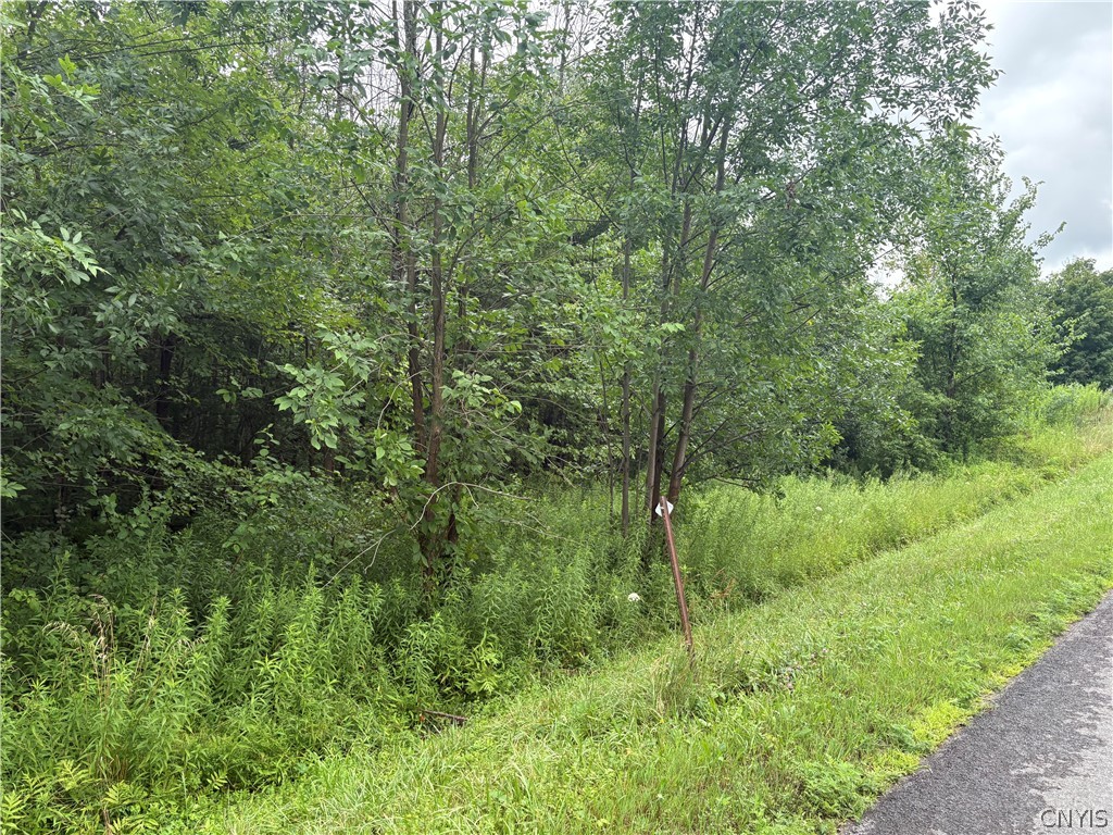 Red School House Road Fulton, NY 13069 - Photo 1 of 6