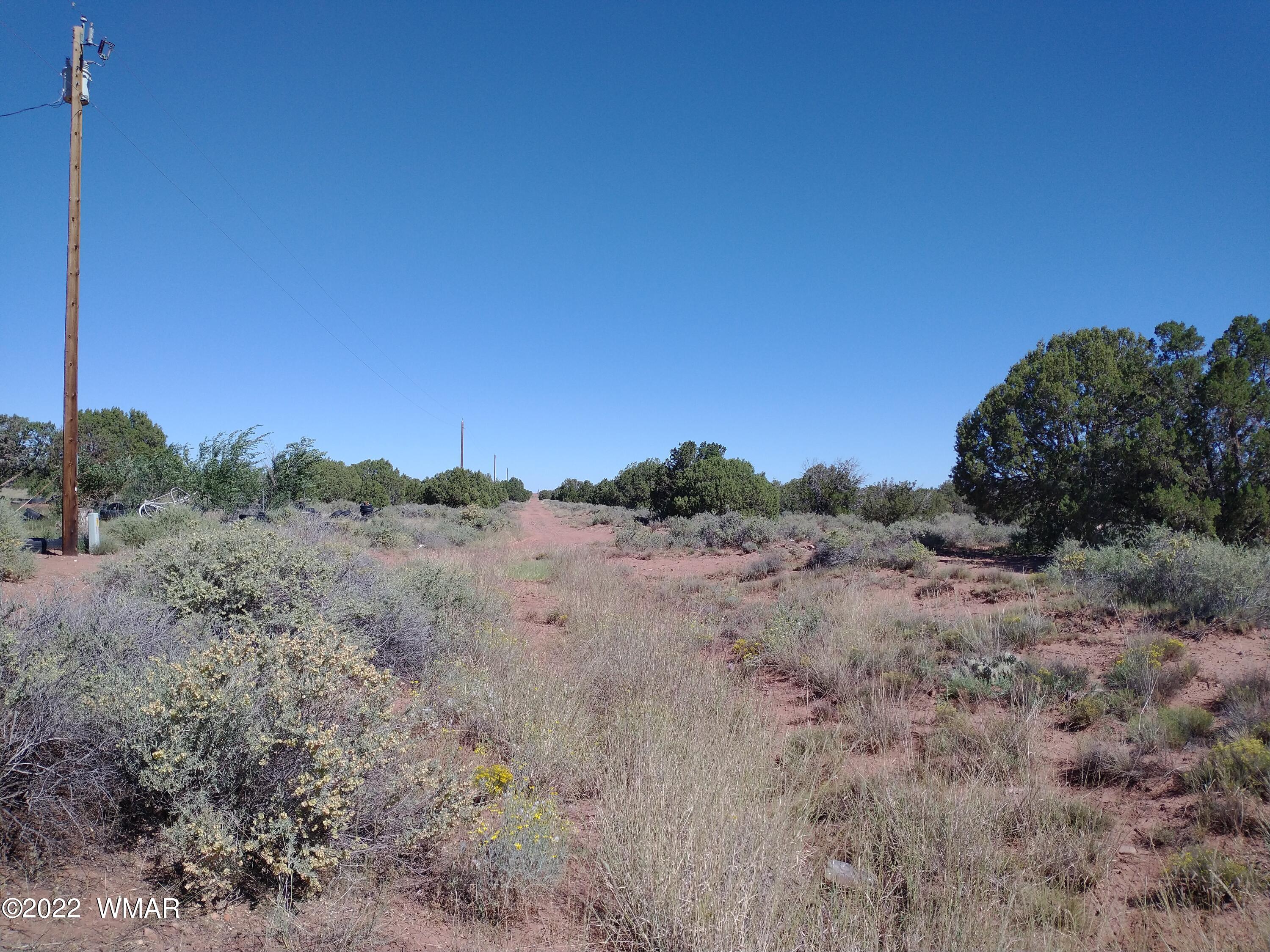 4253 Indian Bend Road Snowflake, AZ 85937 - Photo 1 of 25 a view of a dry field