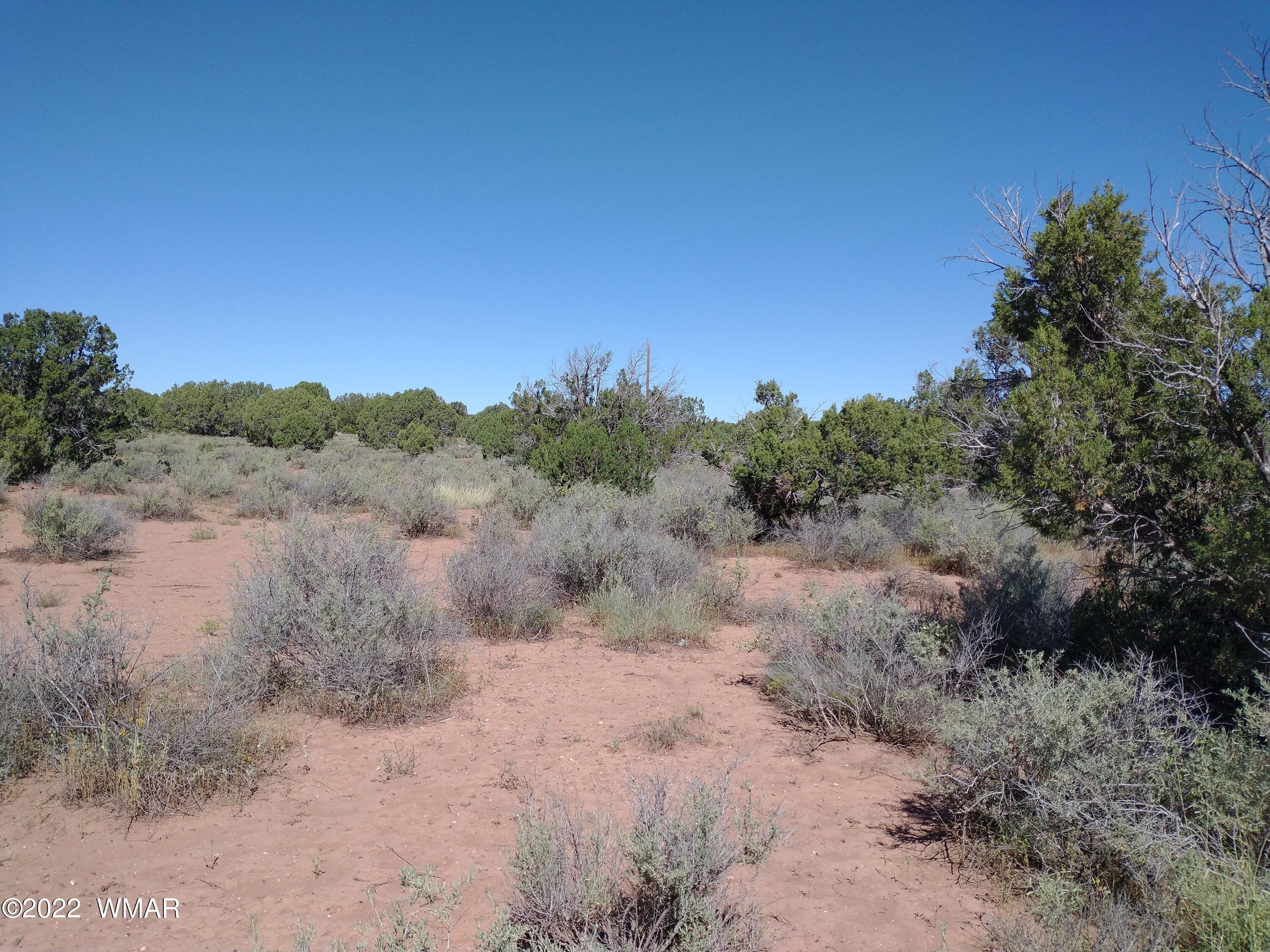 4253 Indian Bend Road Snowflake, AZ 85937 - Photo 11 of 25 a view of a dry yard