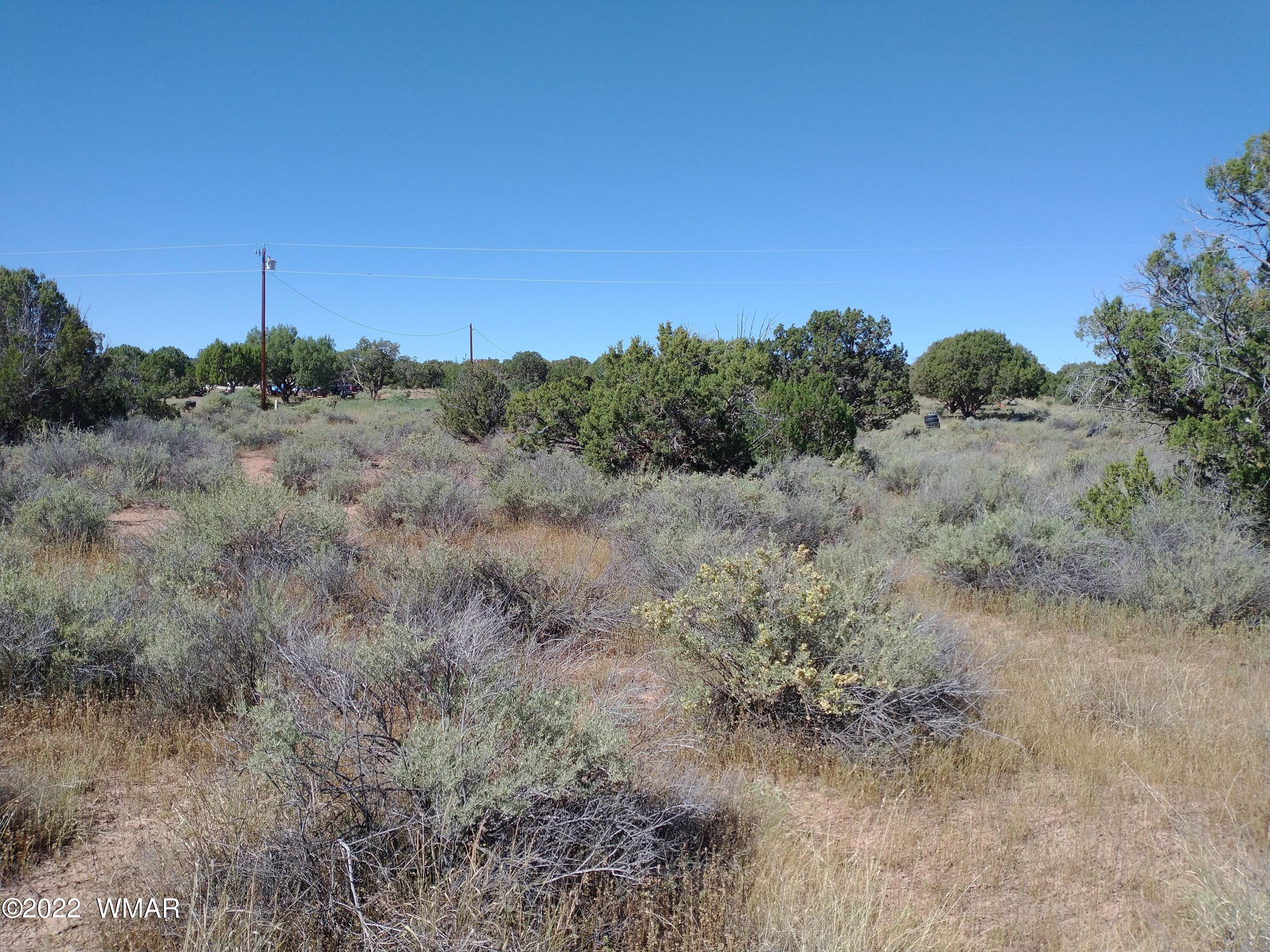 4253 Indian Bend Road Snowflake, AZ 85937 - Photo 14 of 25 a view of a dry field
