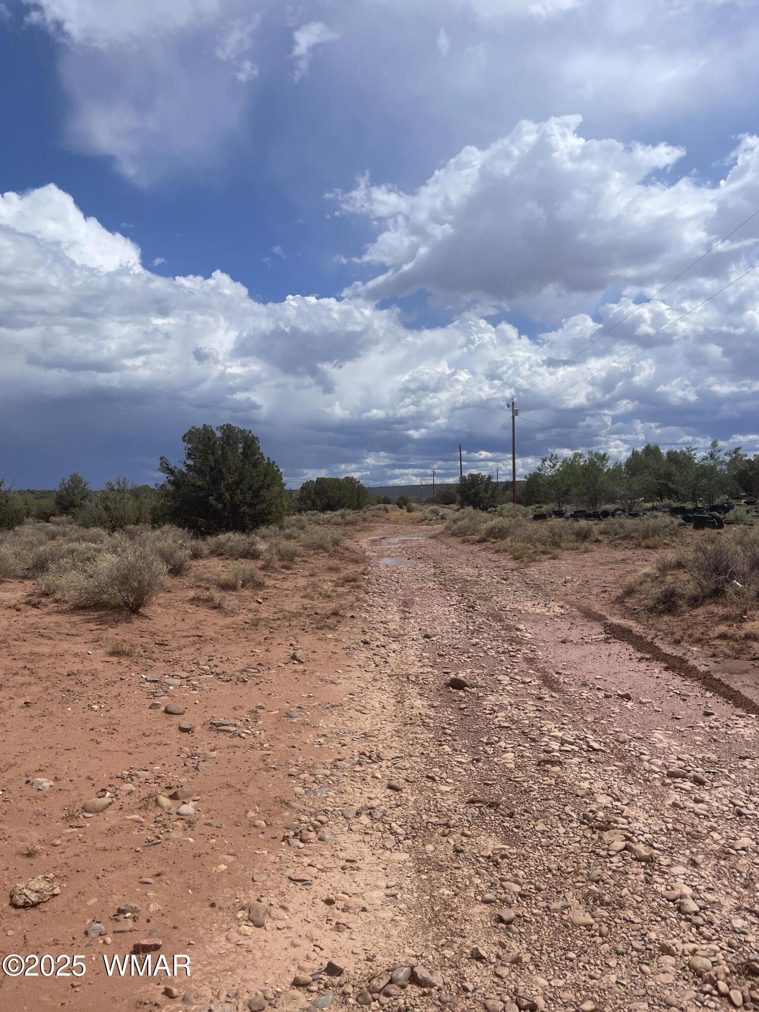 4253 Indian Bend Road Snowflake, AZ 85937 - Photo 19 of 25 a view of a dry yard with wooden fence