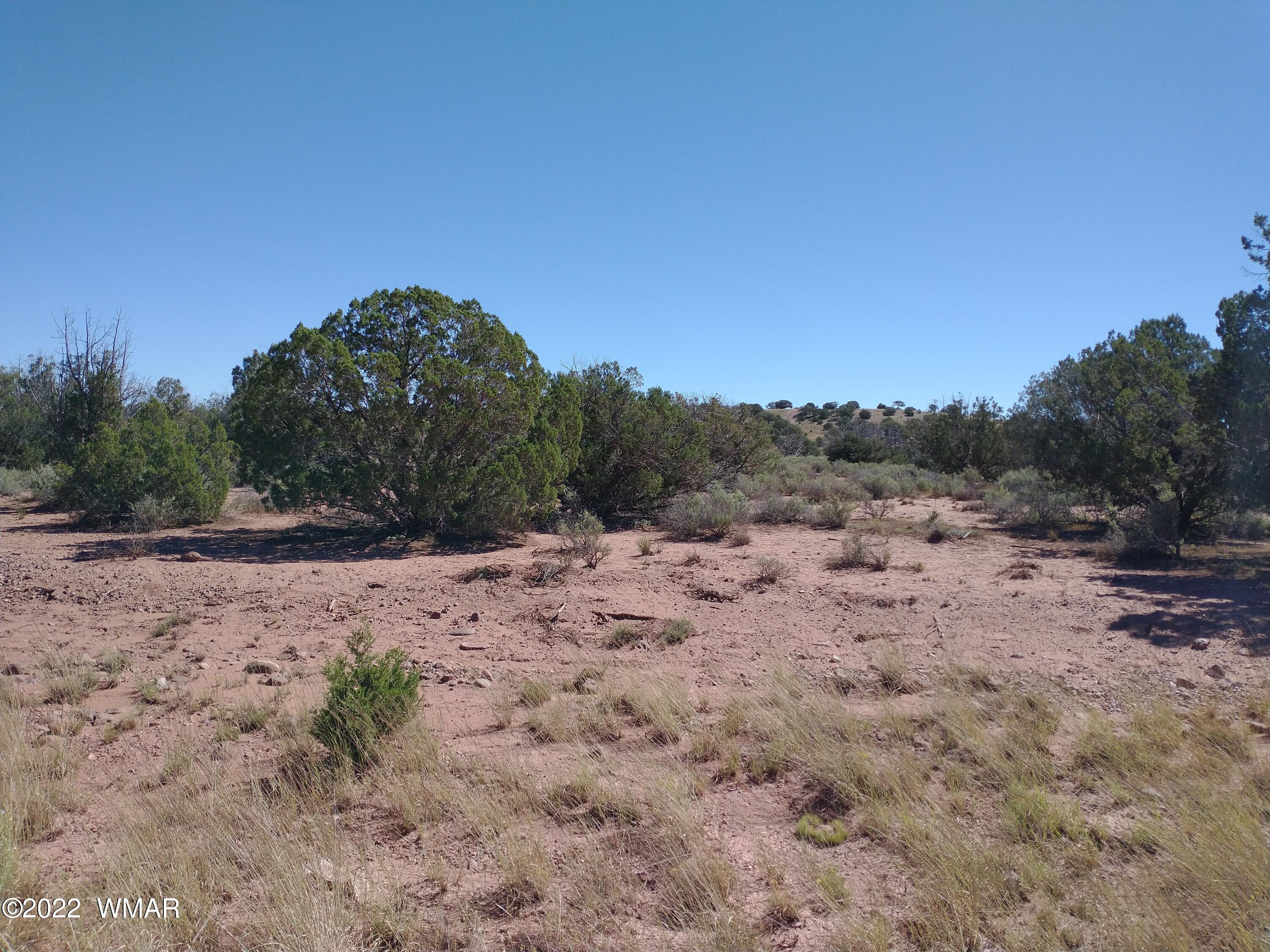 4253 Indian Bend Road Snowflake, AZ 85937 - Photo 2 of 25 a view of a dry yard with lots of green space