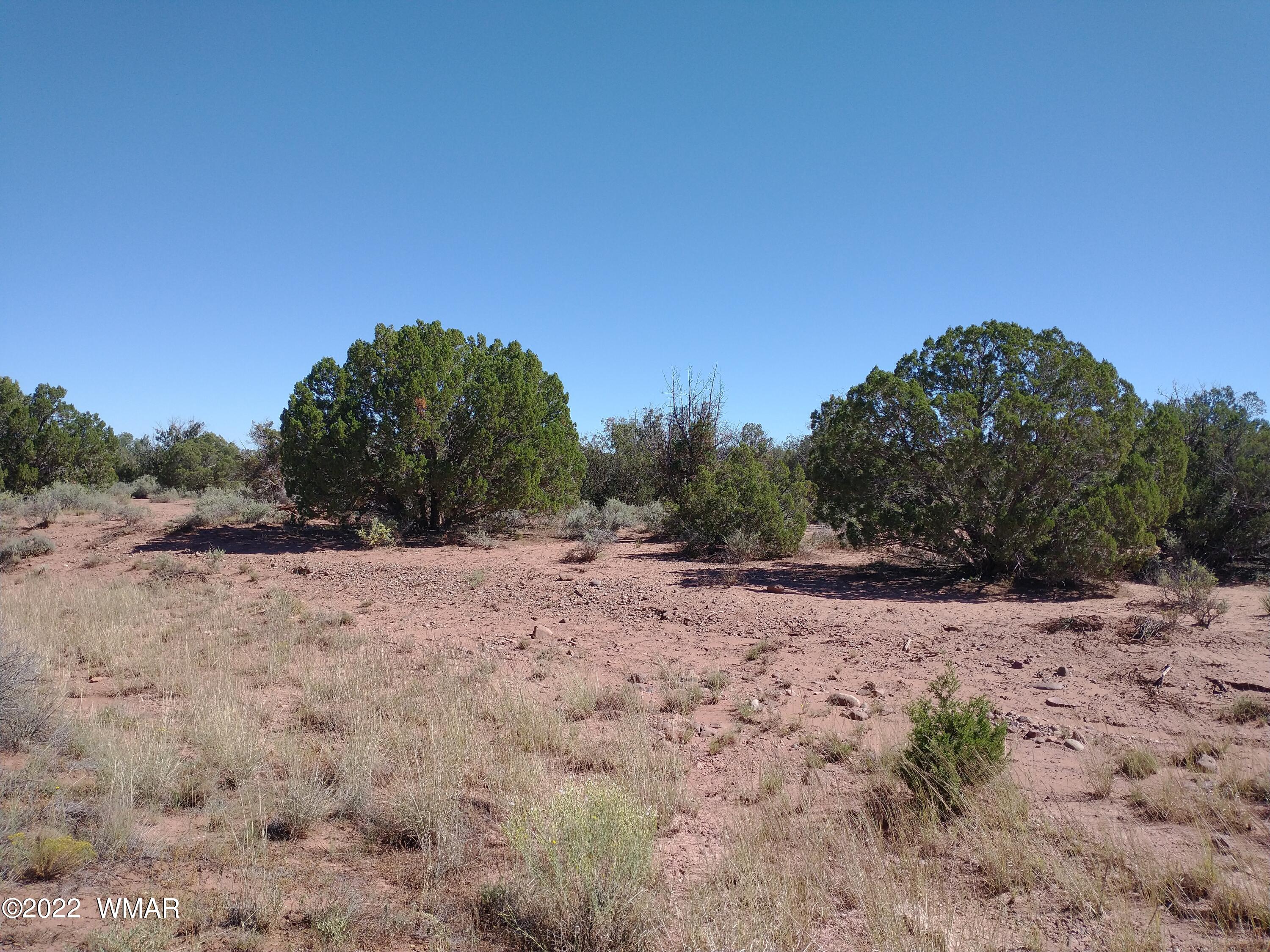 4253 Indian Bend Road Snowflake, AZ 85937 - Photo 3 of 25 a view of beach and outdoor space