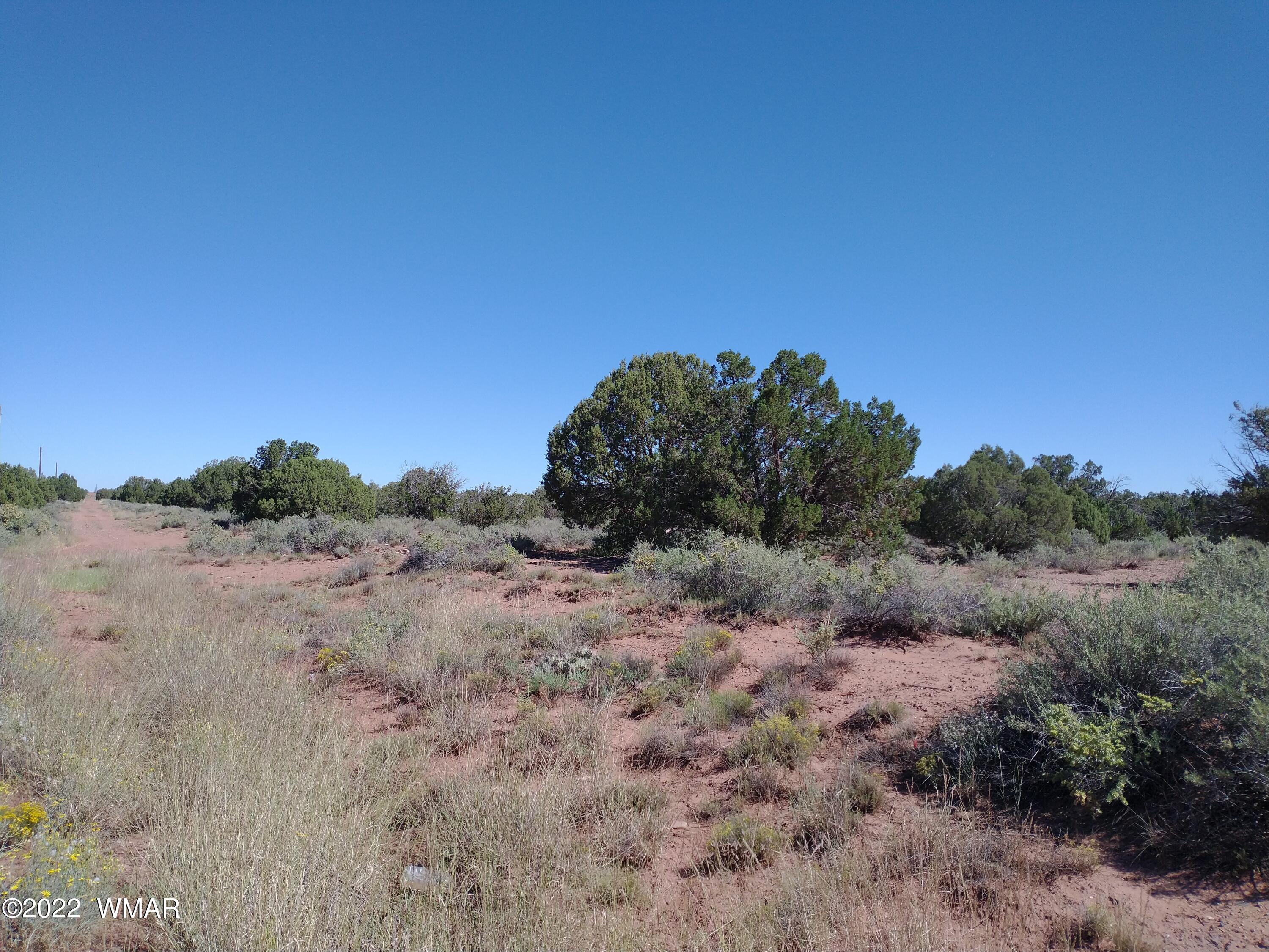 4253 Indian Bend Road Snowflake, AZ 85937 - Photo 5 of 25 a view of a dry field