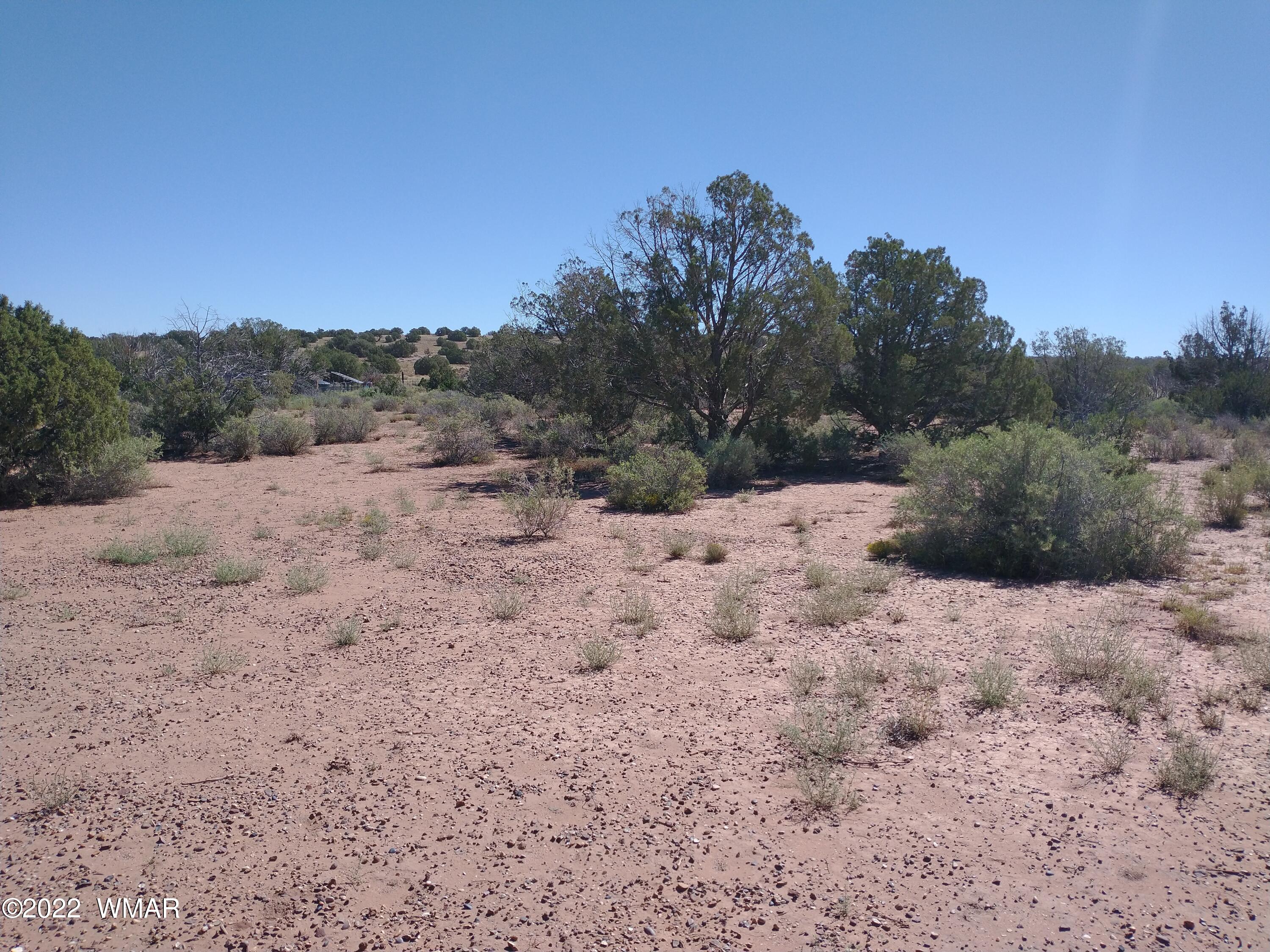 4253 Indian Bend Road Snowflake, AZ 85937 - Photo 9 of 25 a view of a dry space with mountain view