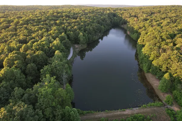 an aerial view of forest