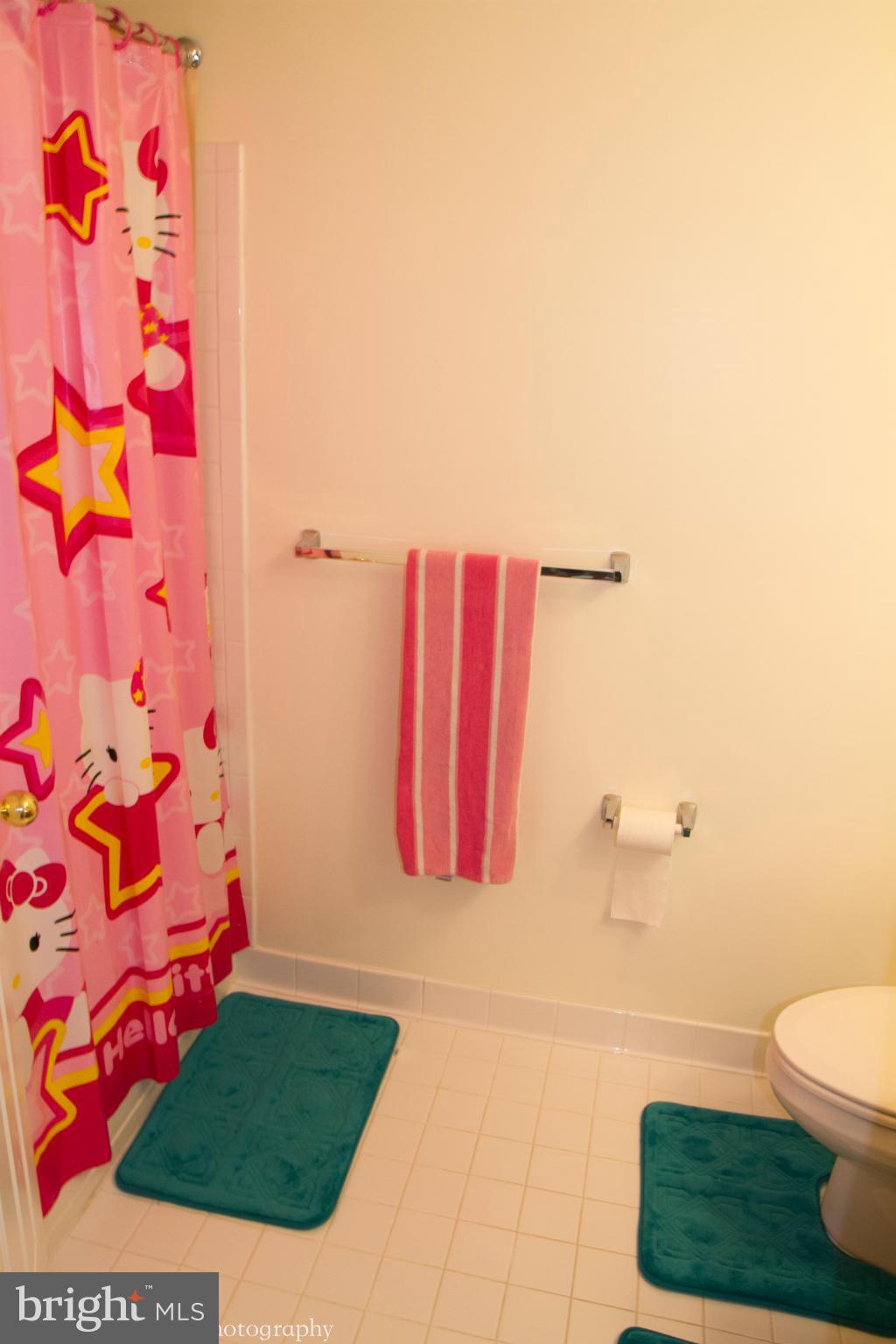 12234 Cypress Spring Road Clarksburg, MD 20871 - Photo 20 of 30 hallway full bath
