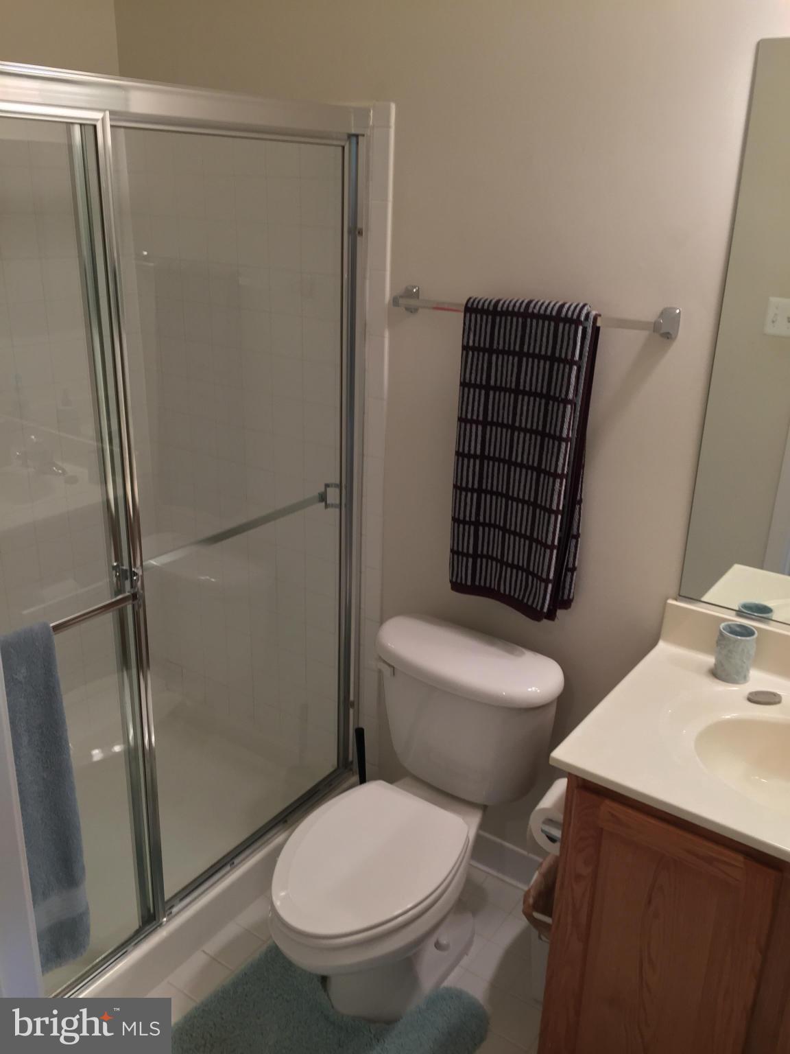 12234 Cypress Spring Road Clarksburg, MD 20871 - Photo 25 of 30 basement full bath