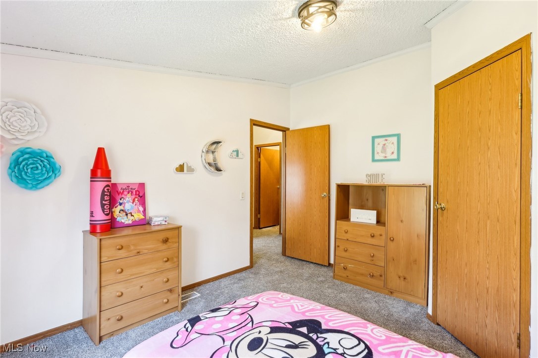 8307 Slagle Road Windham, OH 44288 - Photo 26 of 39 Carpeted bedroom featuring a textured ceiling and baseboards