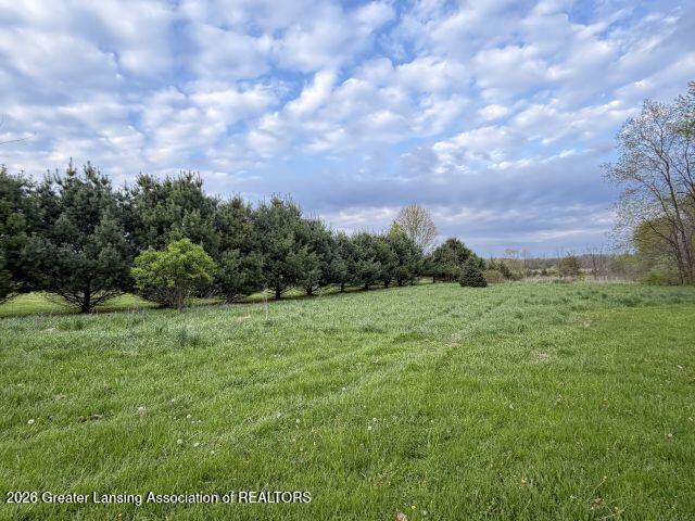 9503 Babcock Road Bellevue, MI 49021 - Photo 10 of 34 IMG_0677
