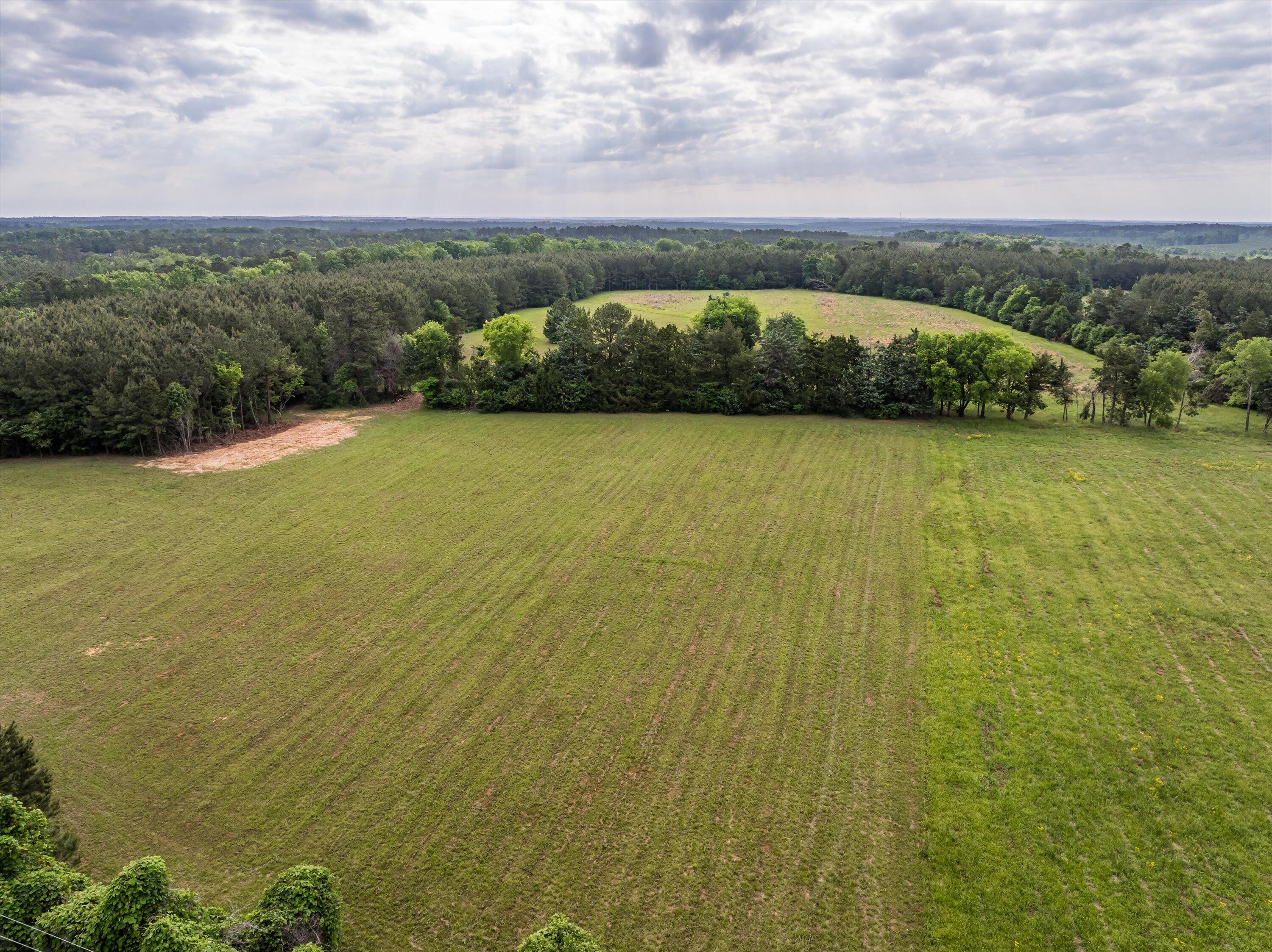 5740 Cobbham Road Appling, GA 30802 - Photo 12 of 18 06-Lot 1_7