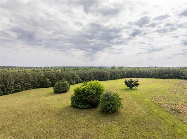 $350,000 | 5740 Cobbham Road, Appling, GA 30802