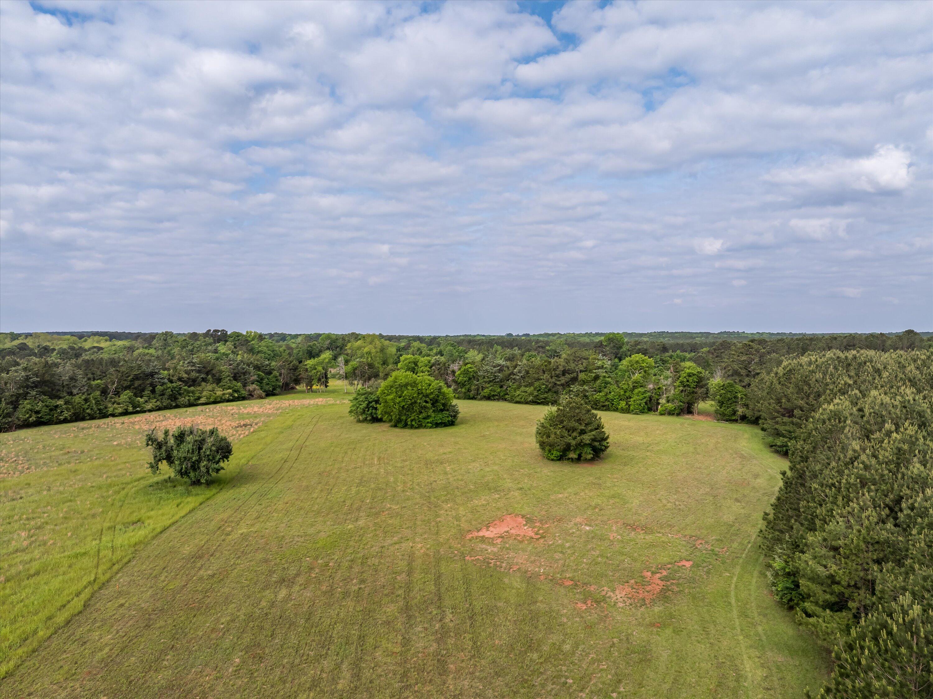 5740 Cobbham Road Appling, GA 30802 - Photo 6 of 18 41-Lot 1_17