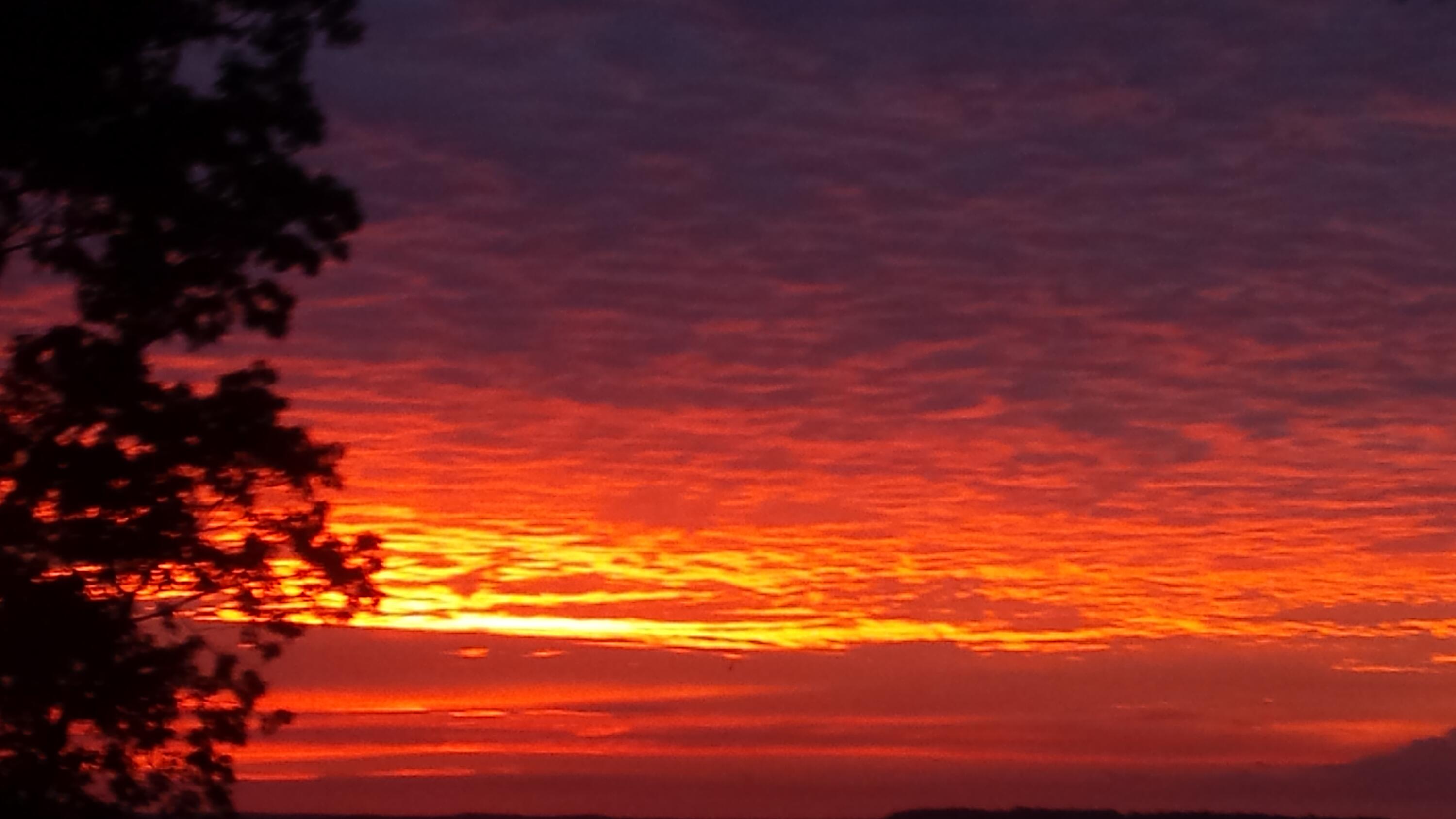 15 Lovers Lane Reeds Spring, MO 65737 - Photo 20 of 71 Sunset