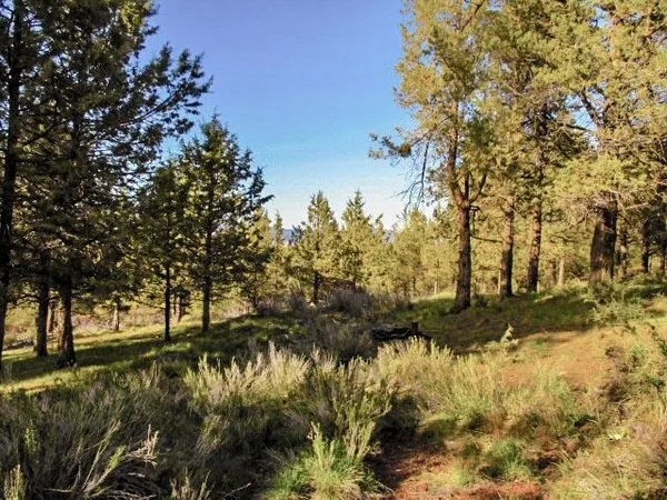 $65,000 | 0 Pearson Butte Trail, Unit 16, Klamath Falls, OR 97603
