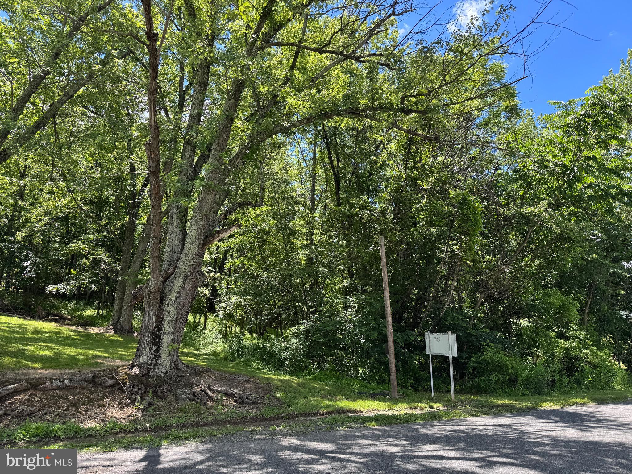 346 Sand Mine Road Berkeley Springs, WV 25411 - Photo 8 of 11