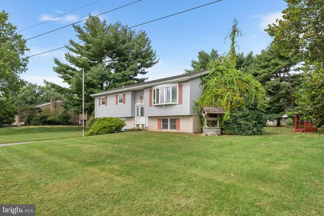 a backyard of a house with plants and large tree
