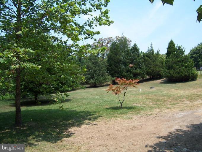 2225 Courthouse Road Stafford, VA 22554 - Photo 16 of 21 Back yard