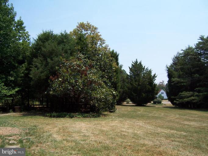 2225 Courthouse Road Stafford, VA 22554 - Photo 17 of 21 Wooded View / Acreage