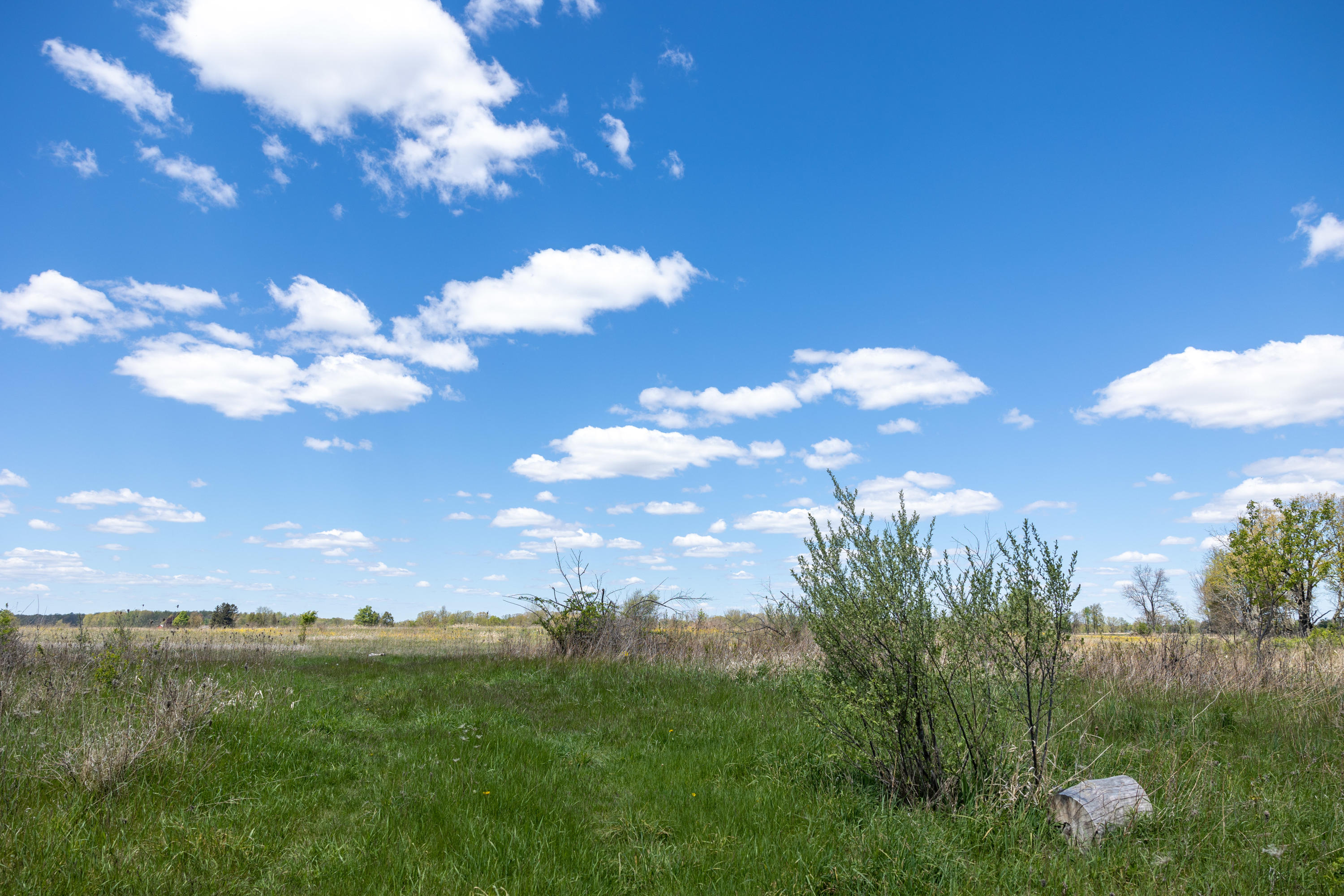 288 Peterson Road Ionia, MI 48846 - Photo 45 of 50 288Petersen-7