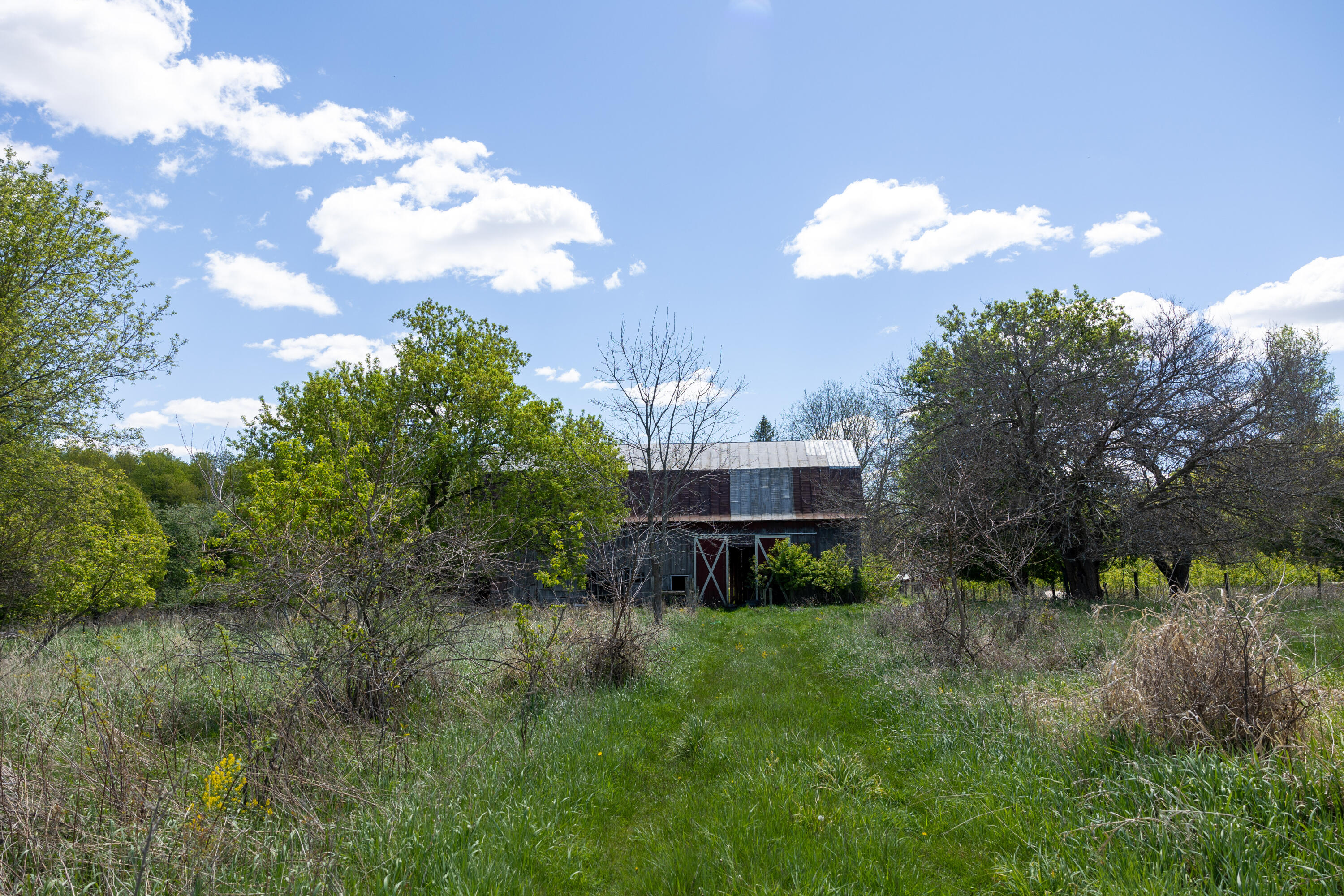 288 Peterson Road Ionia, MI 48846 - Photo 46 of 50 288Petersen-8