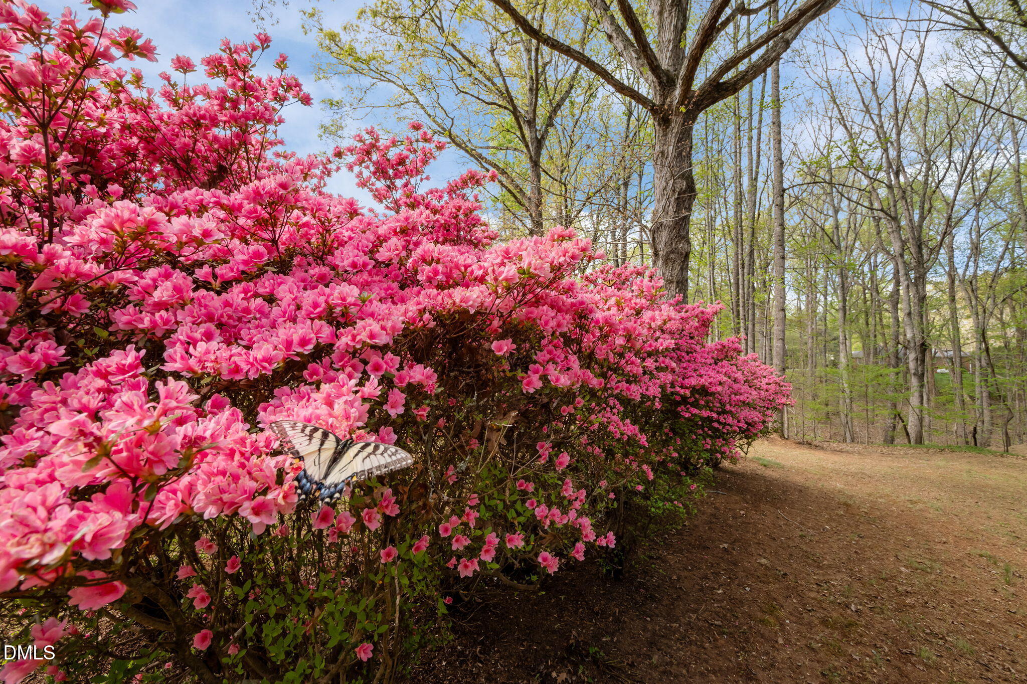 484 Shiloh Church Road Roxboro, NC 27574 - Photo 65 of 72