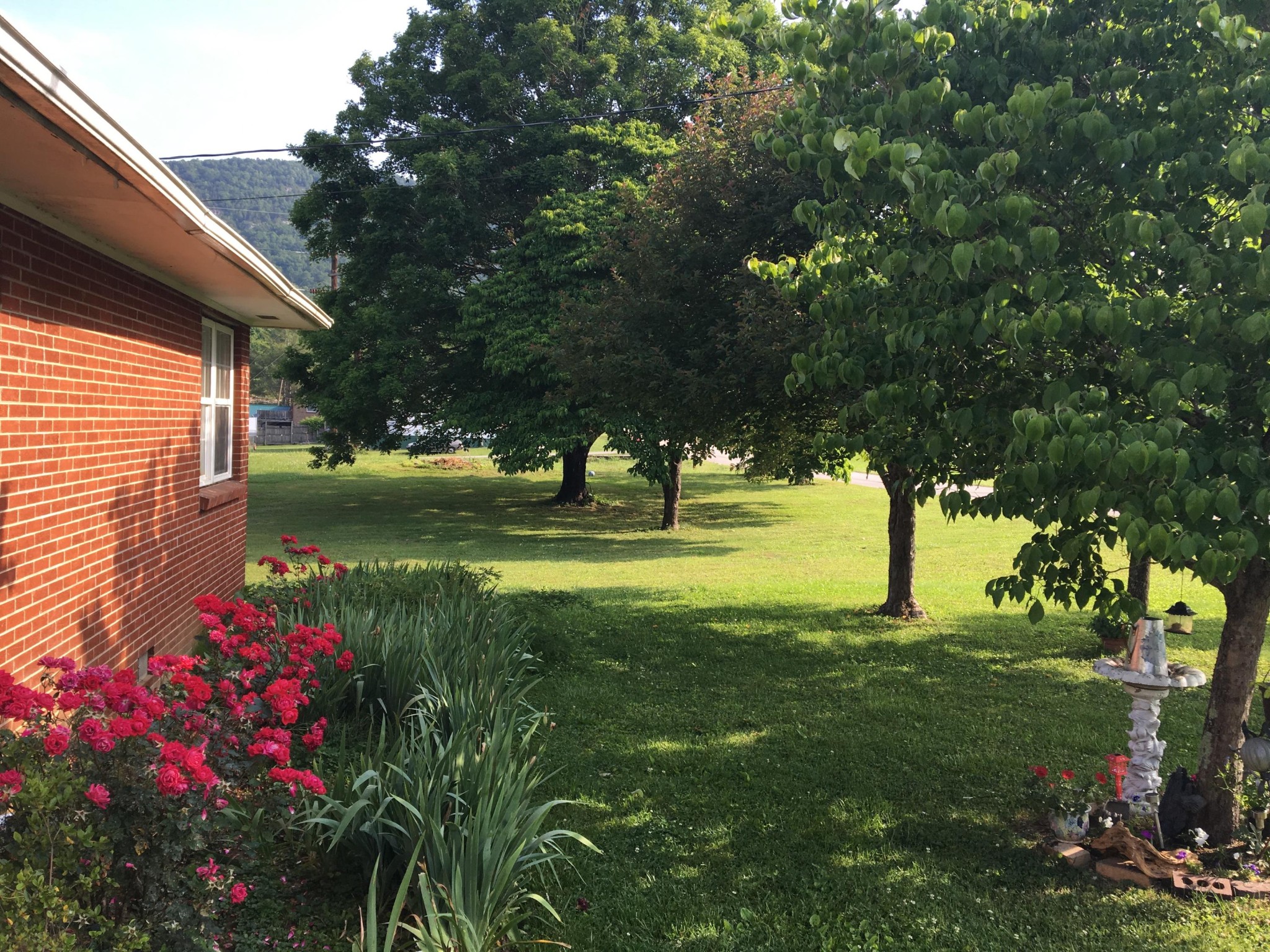 217 Hannah Road Harriman, TN 37748 - Photo 6 of 14 Gallery Image 6