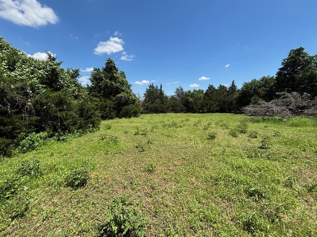 1919 County Road 4371 Decatur, TX 76234 - Photo 38 of 40