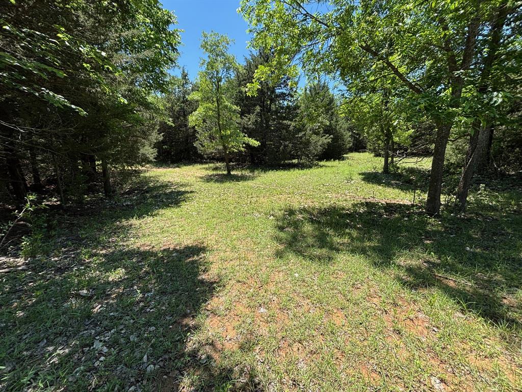 1919 County Road 4371 Decatur, TX 76234 - Photo 39 of 40