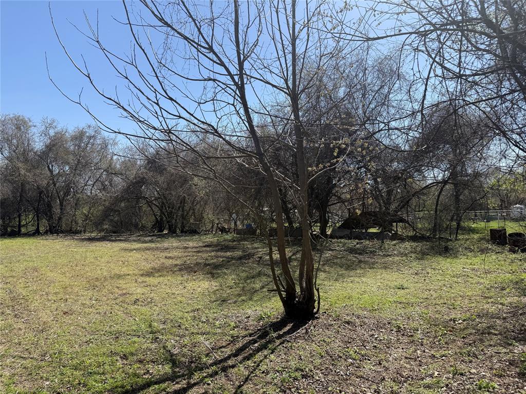 3216 House Anderson Road Fort Worth, TX 76040 - Photo 4 of 7 a view of a yard with a tree
