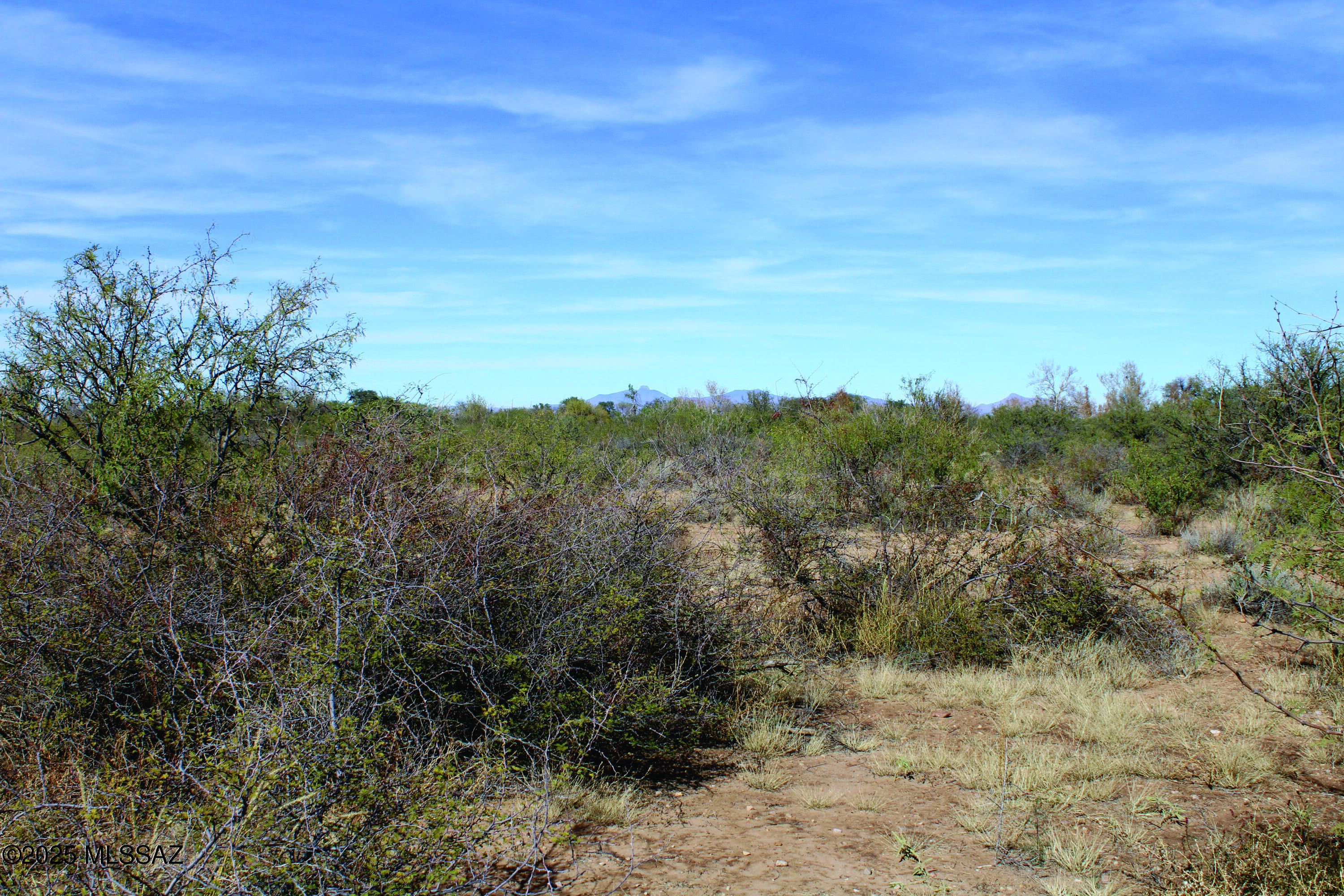 10-acres East Roadrunner Road, Unit D Pearce, AZ 85625 - Photo 11 of 24 a view of mountain view with lots of trees