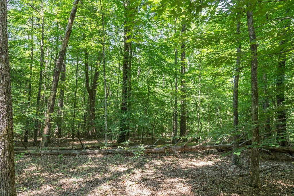 3 Ownby Road Sevierville, TN 37862 - Photo 1 of 1