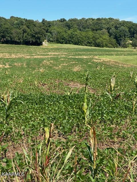 0 Fairfax Road Newport, TN 37821 - Photo 2 of 5 IMG_0074