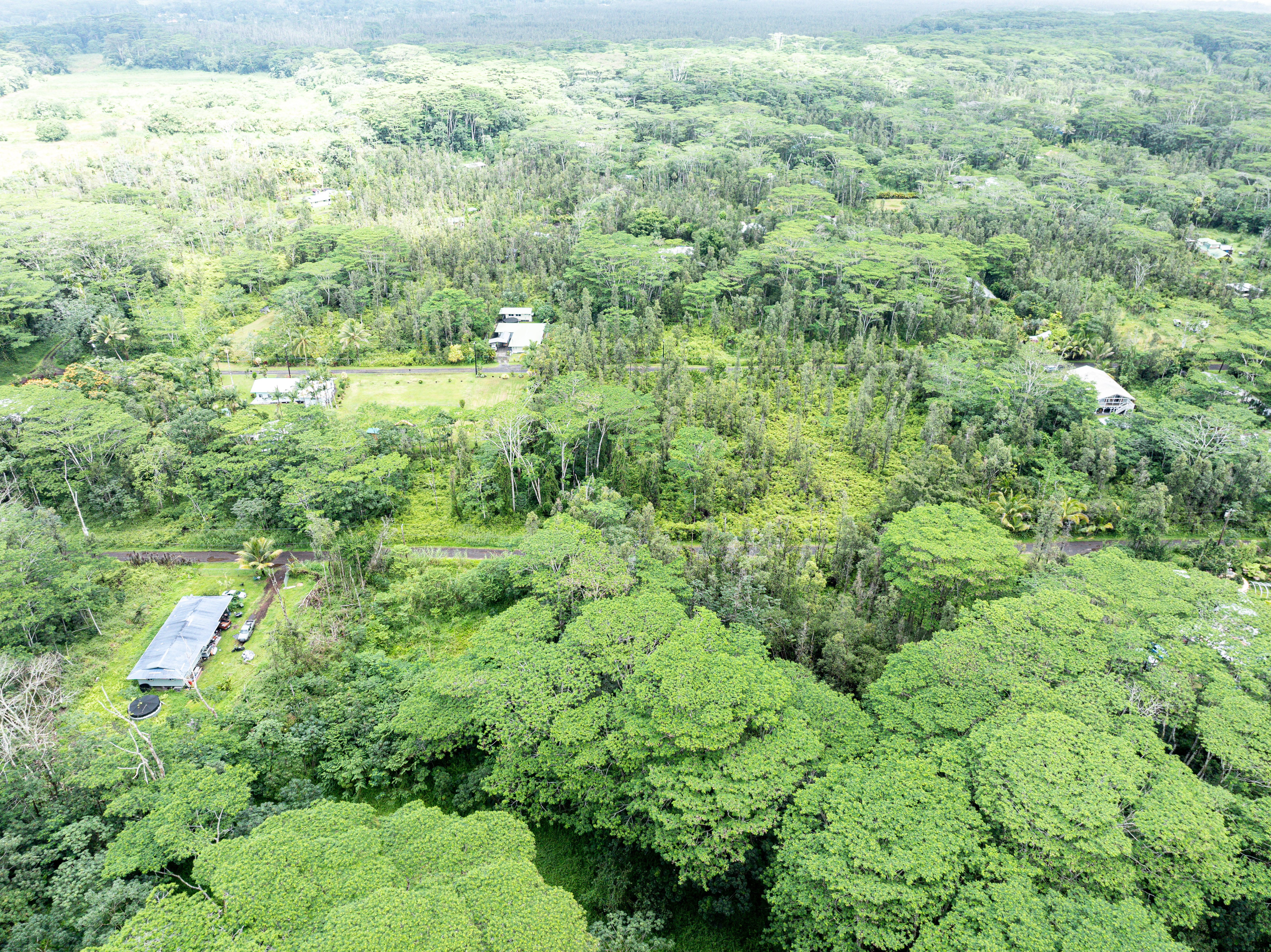 409 Lehua Road Pahoa, HI 96778 - Photo 2 of 14 a view of a big yard with plants and large tree