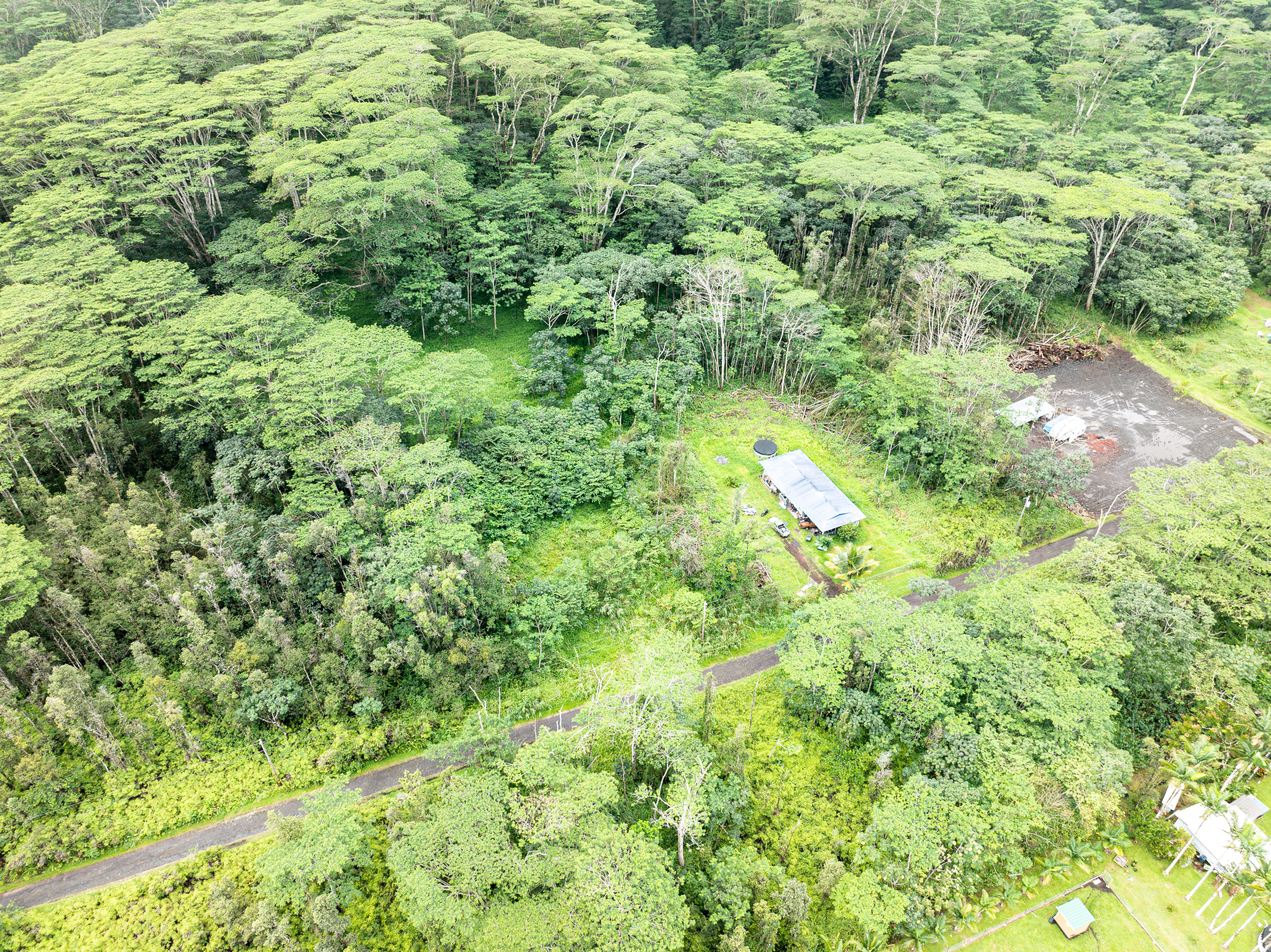 409 Lehua Road Pahoa, HI 96778 - Photo 6 of 14 a view of a lush green forest