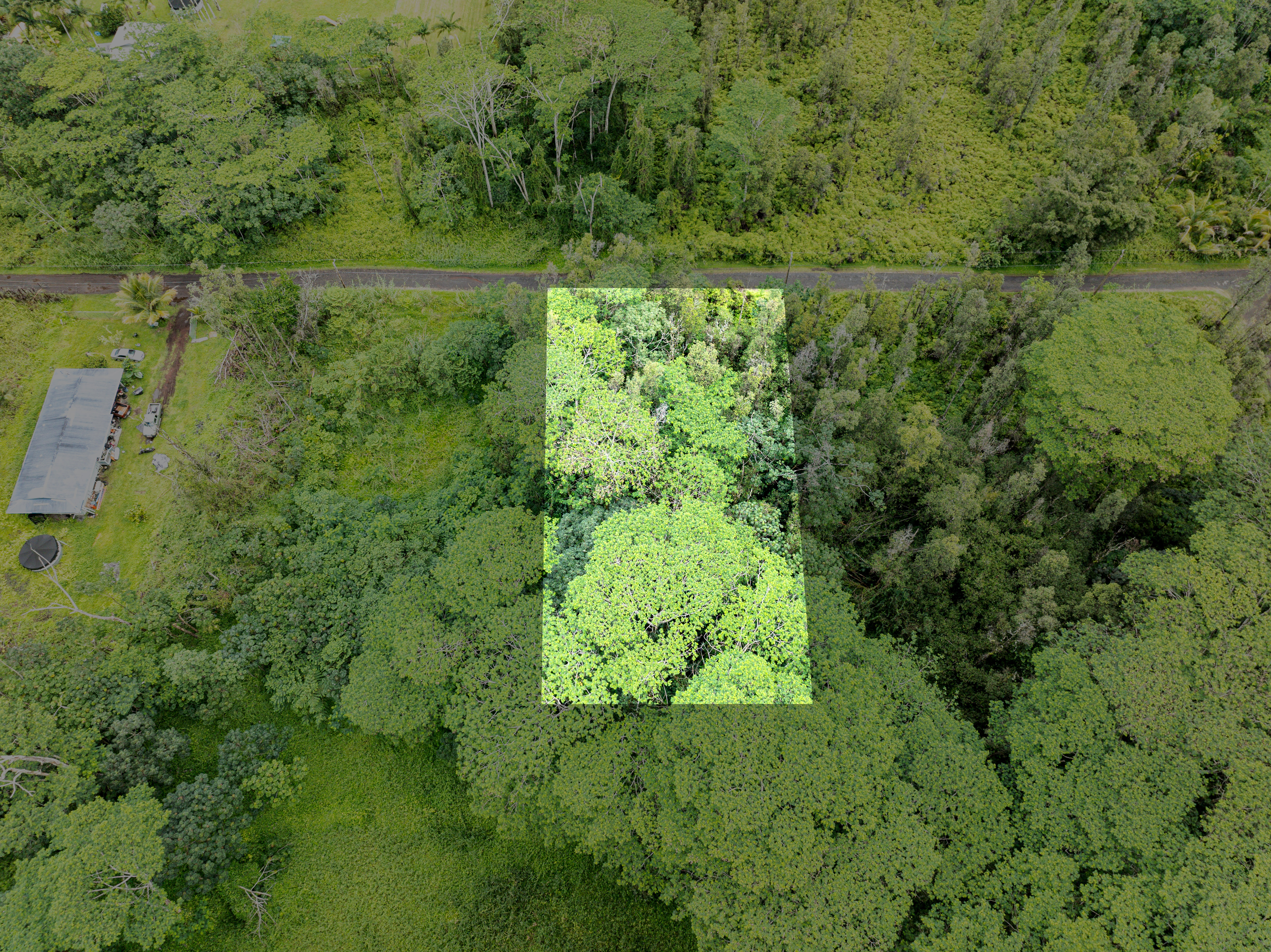 409 Lehua Road Pahoa, HI 96778 - Photo 7 of 14 a view of a lush green forest with lots of trees