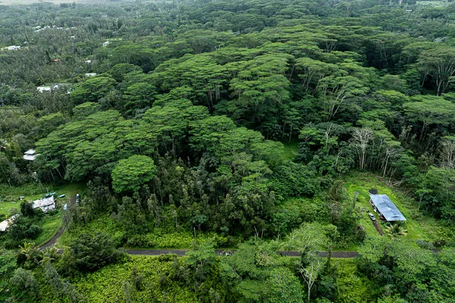 an aerial view of residential house with outdoor space and trees all around