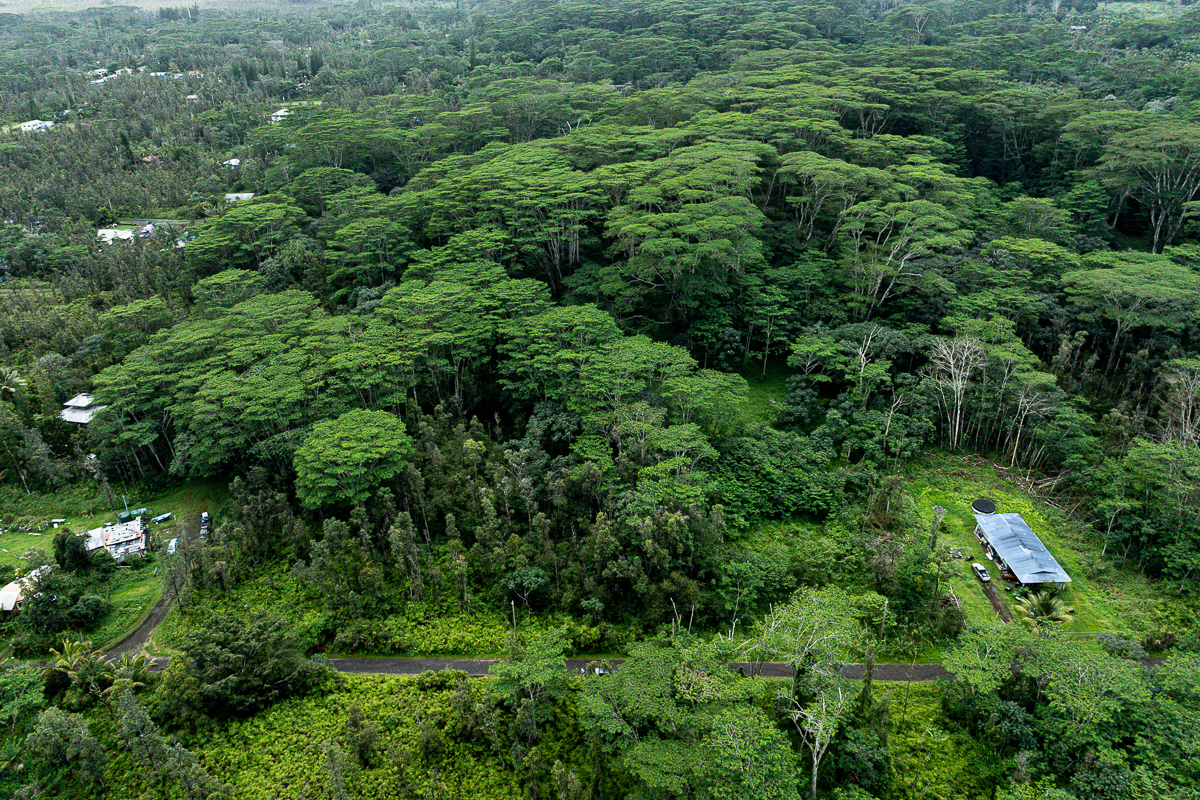 409 Lehua Road Pahoa, HI 96778 - Photo 10 of 14 an aerial view of residential house with outdoor space and trees all around