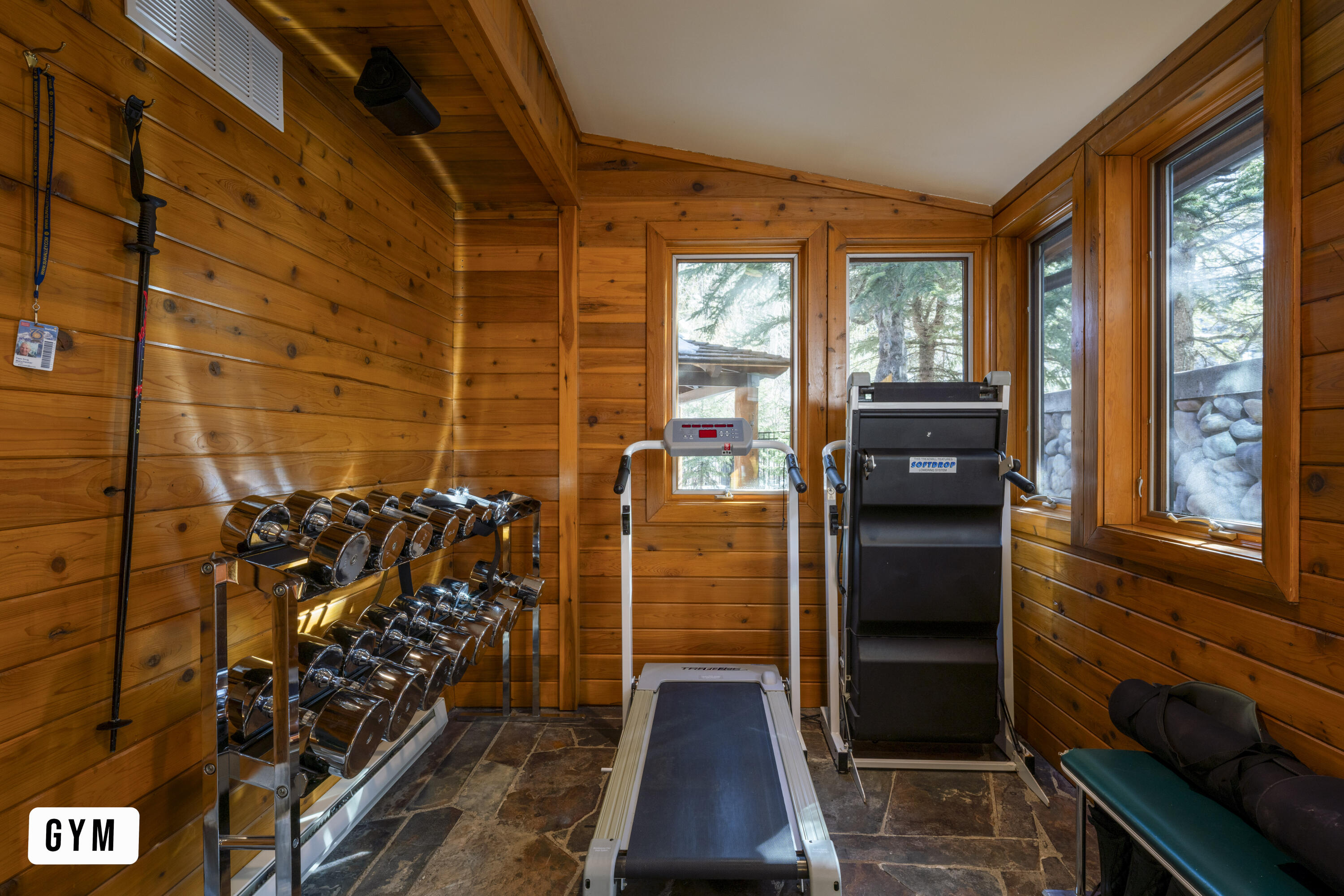 310 Manchester Court Ketchum, ID 83340 - Photo 27 of 31 Gym