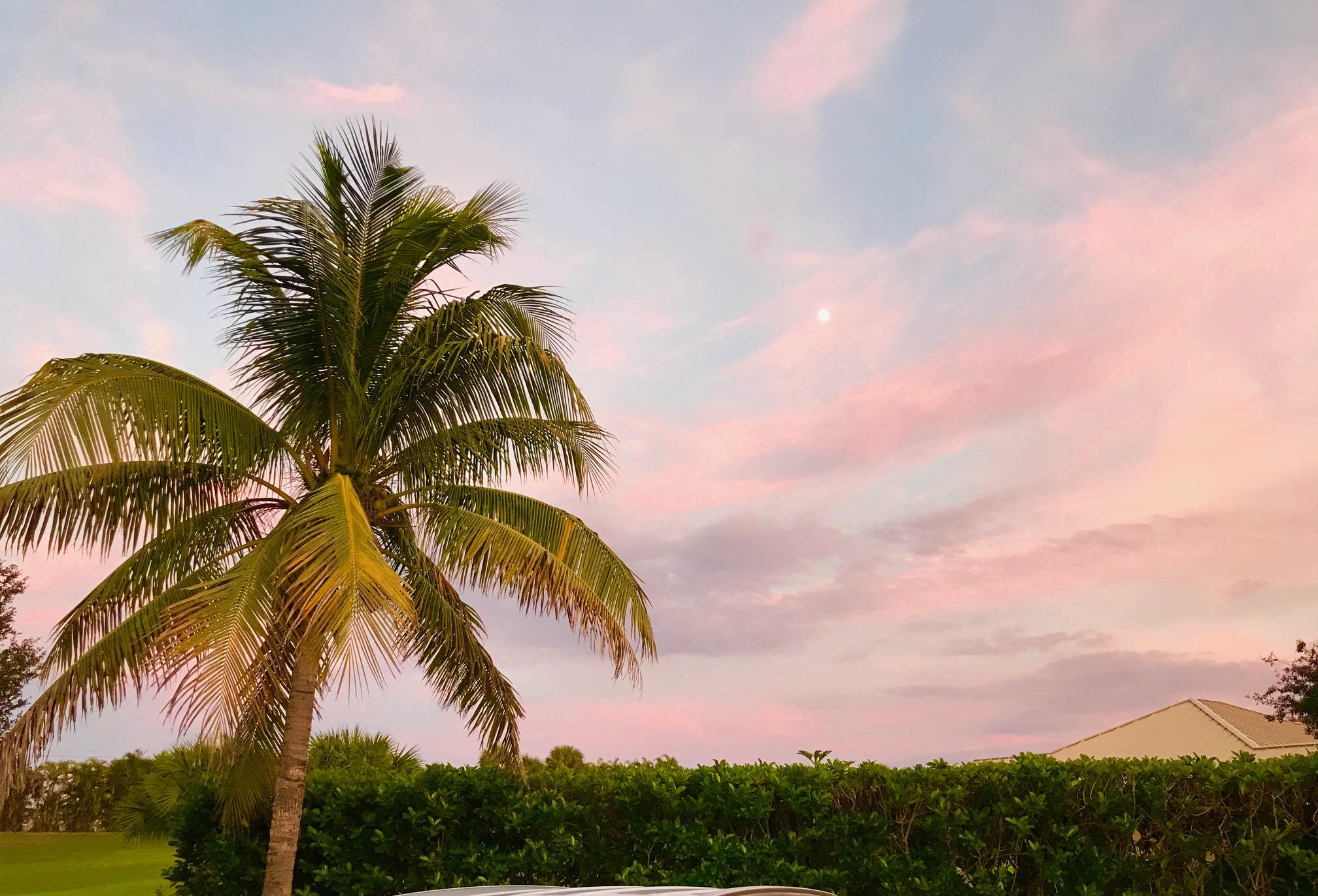 5657 Southeast Foxcross Place Stuart, FL 34997 - Photo 49 of 49 Sunset