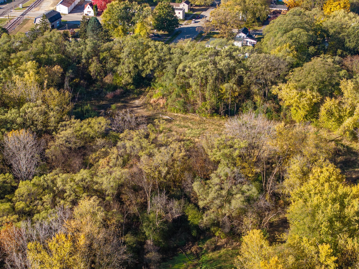 Land Lot Land Cherry Valley, IL 61016 - Photo 20 of 33 a view of outdoor space and covered by trees