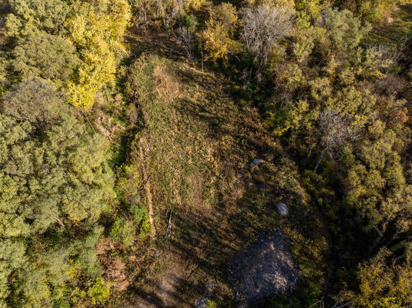 Land Lot Land Cherry Valley, IL 61016 - Photo 8 of 33 a view of a tree with a tree